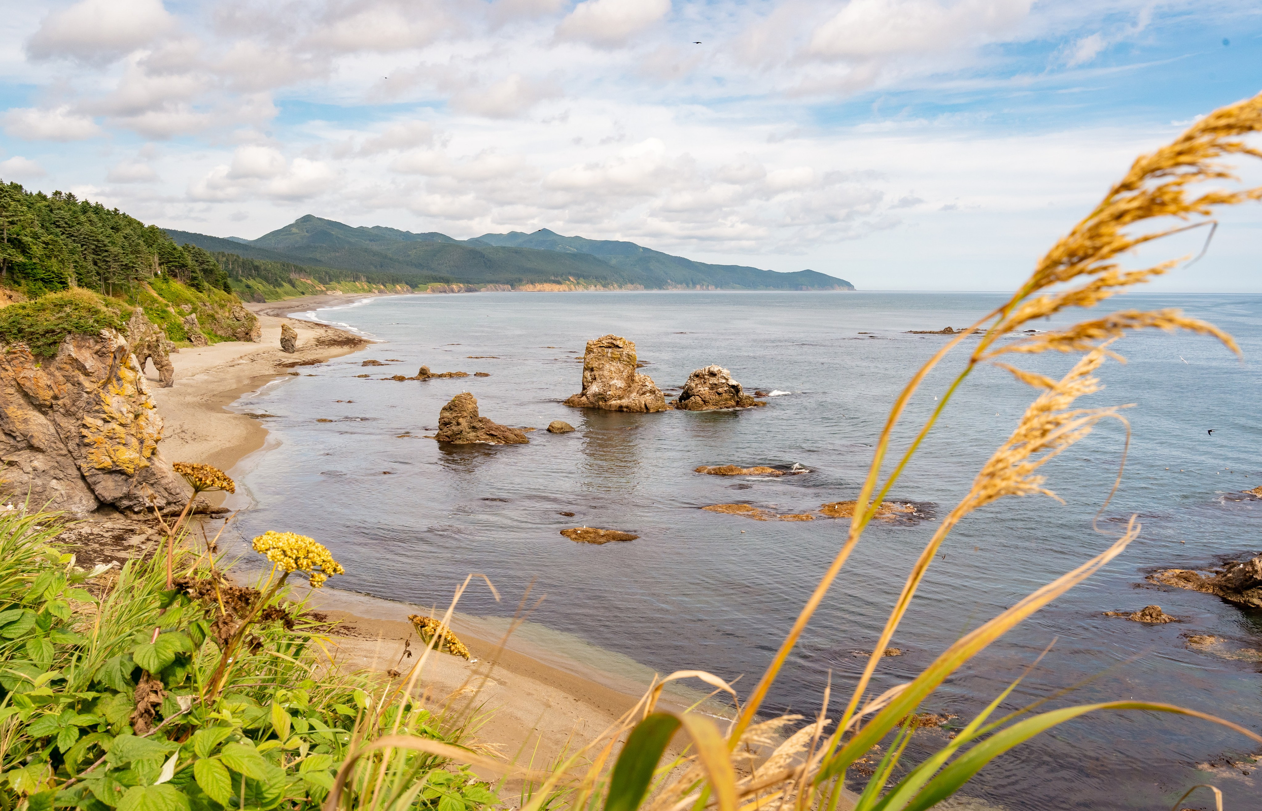 Сахалин. Семейный фотограф Варвара Сорока в городе Москве
