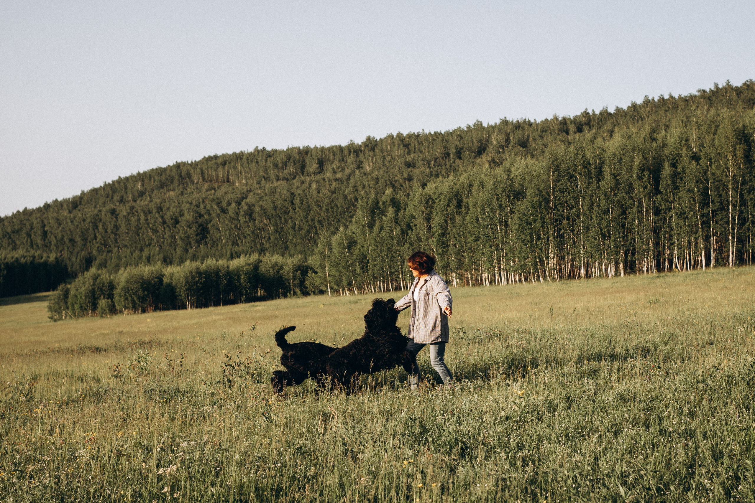Лариса, Кира и Грэйс. Фотограф-анималист Анастасия Большакова