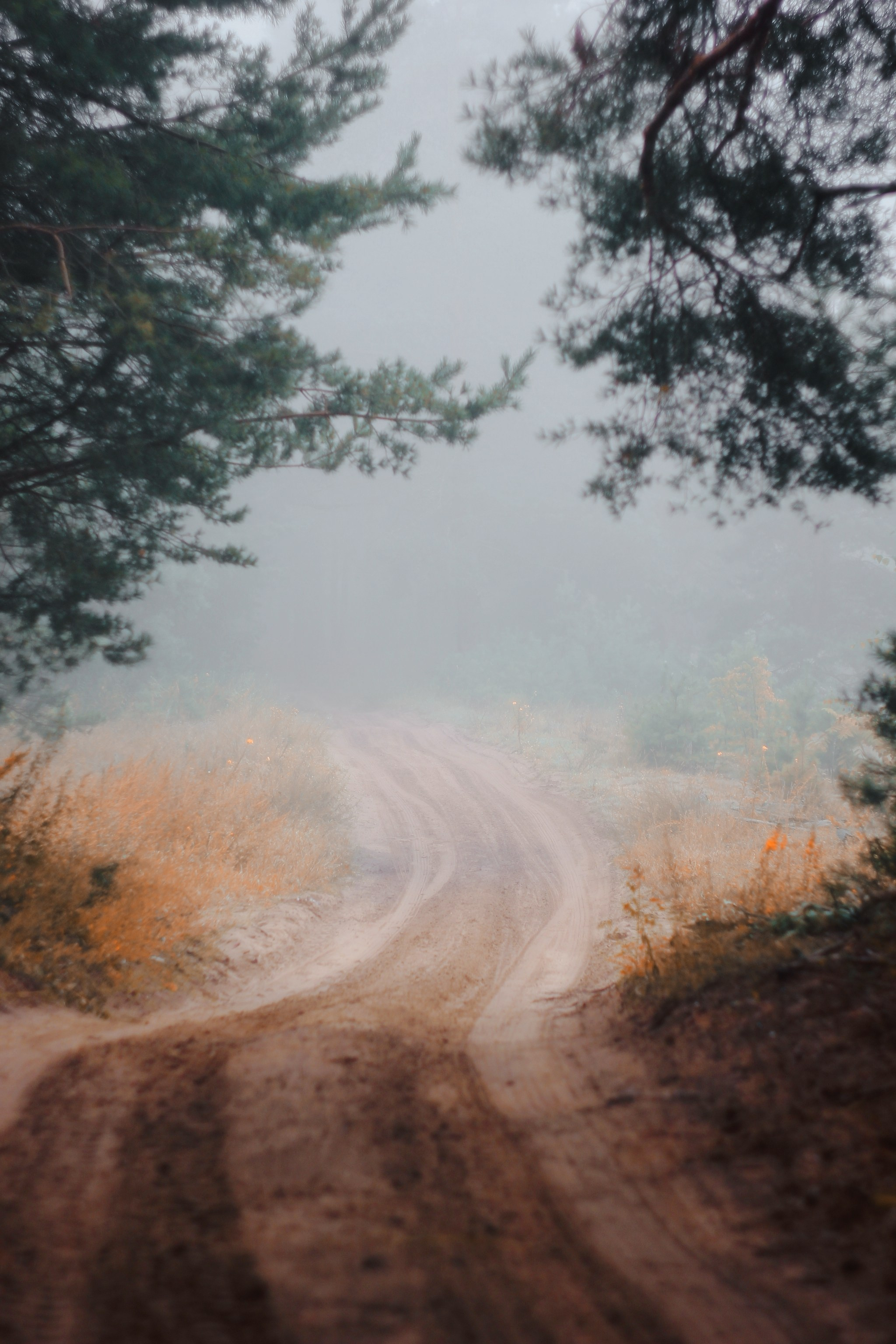 Меланхолия августа. С любовью, фотохудожник