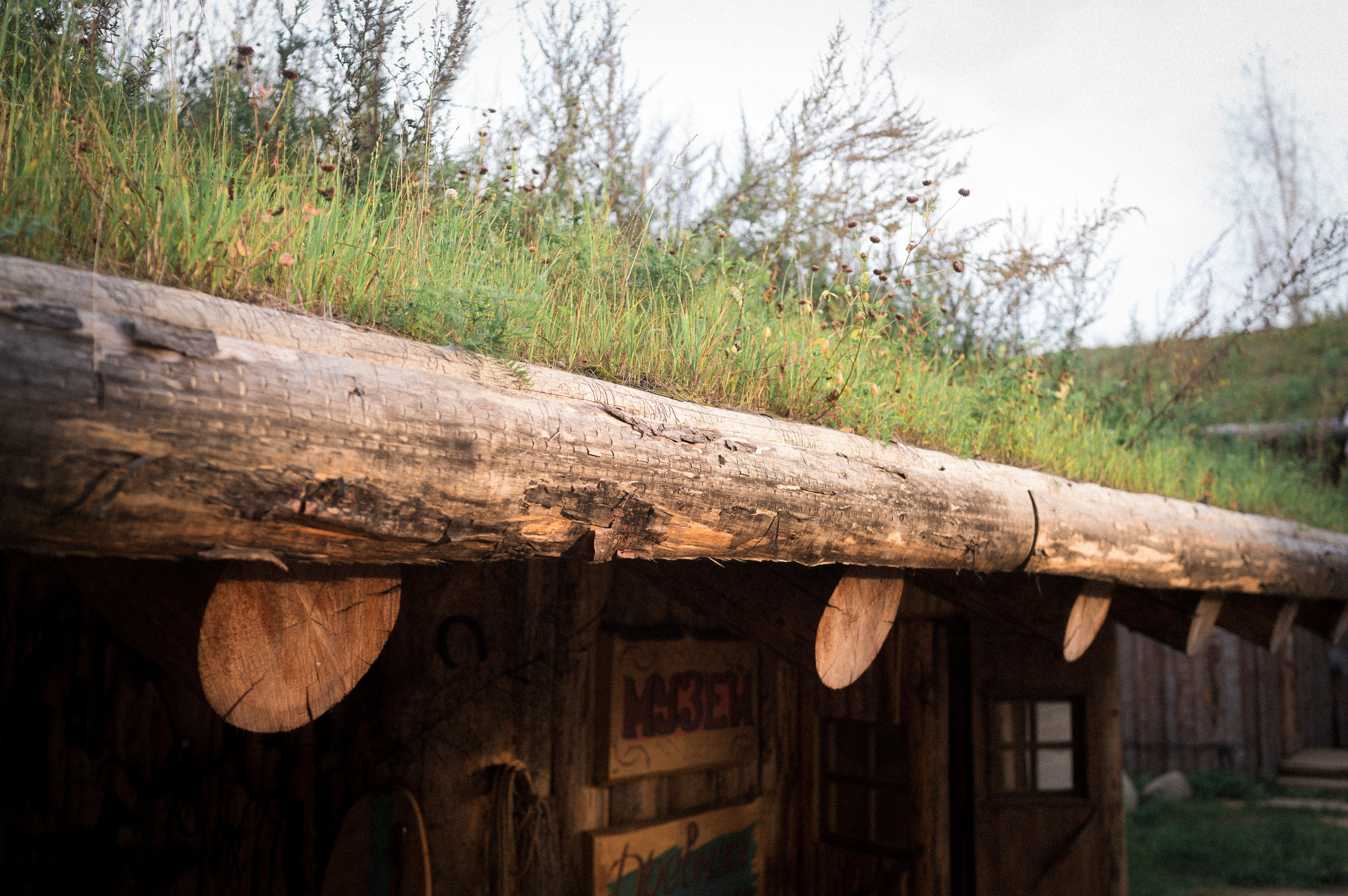 North 2024. Kartascheff