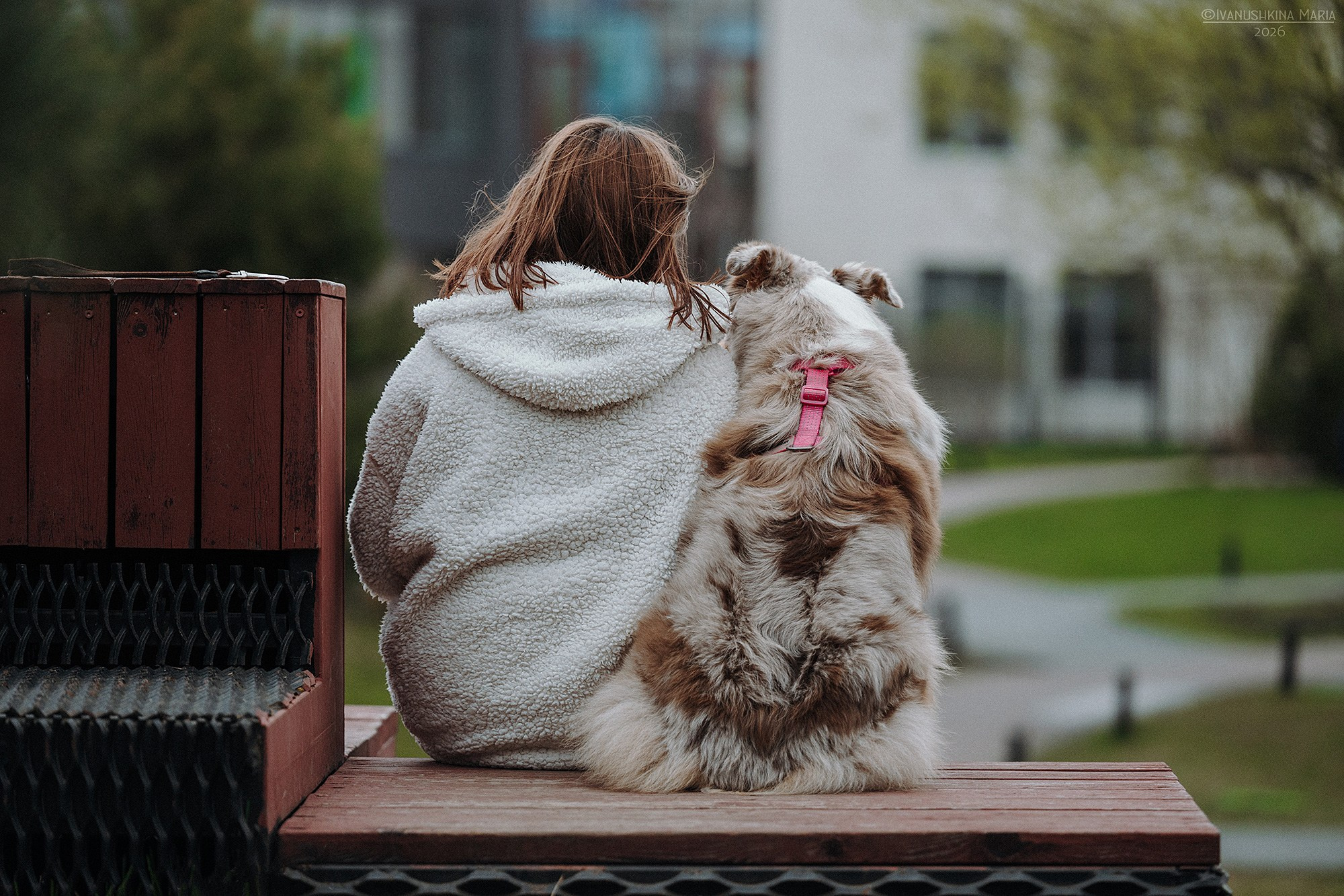 Фотосессия с собакой. Фотограф собак в Москве и Московской области Иванушкина Мария