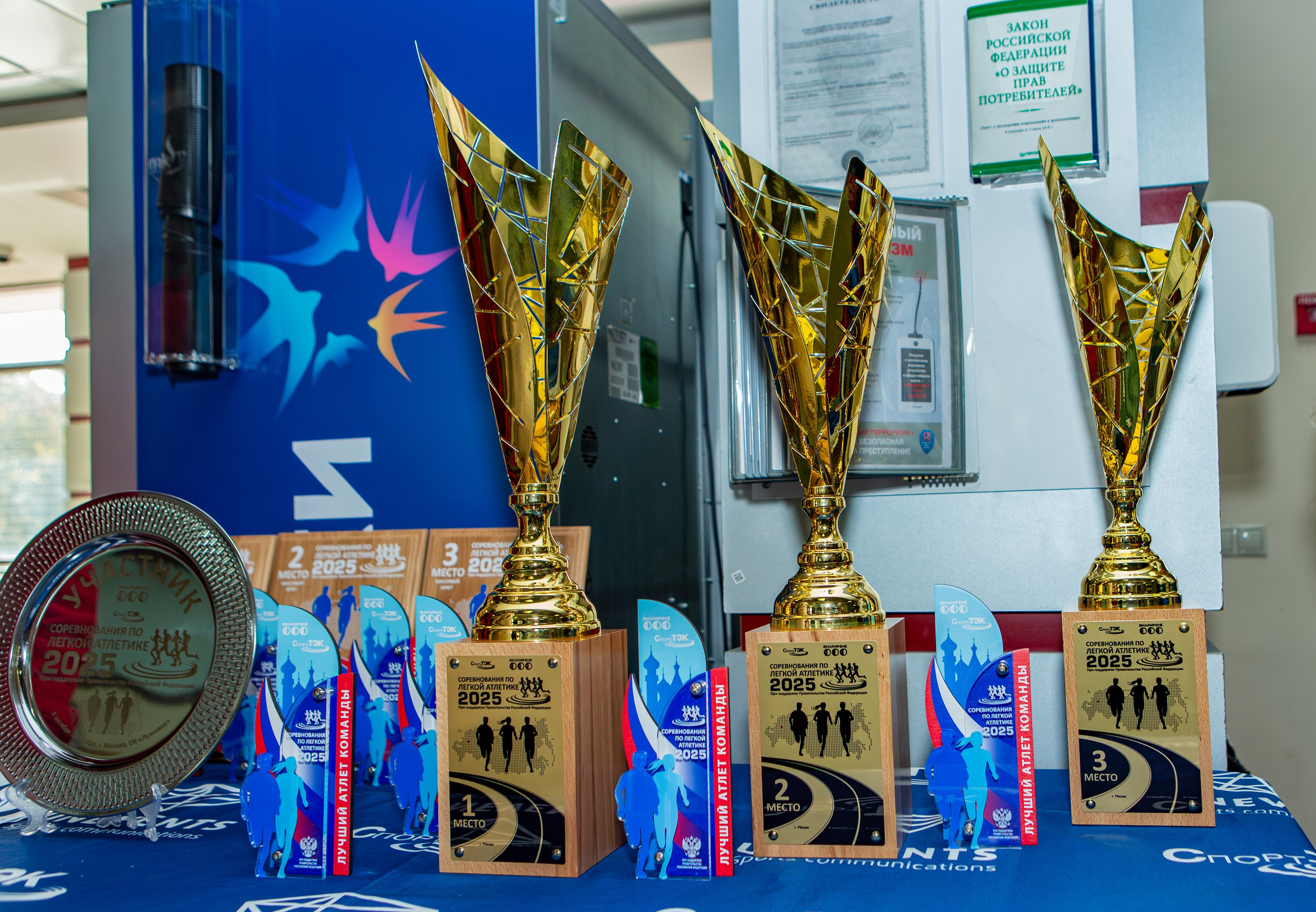 Соревнования по легкой атлетике. Репортажный, семейный, свадебный, портретный фотограф