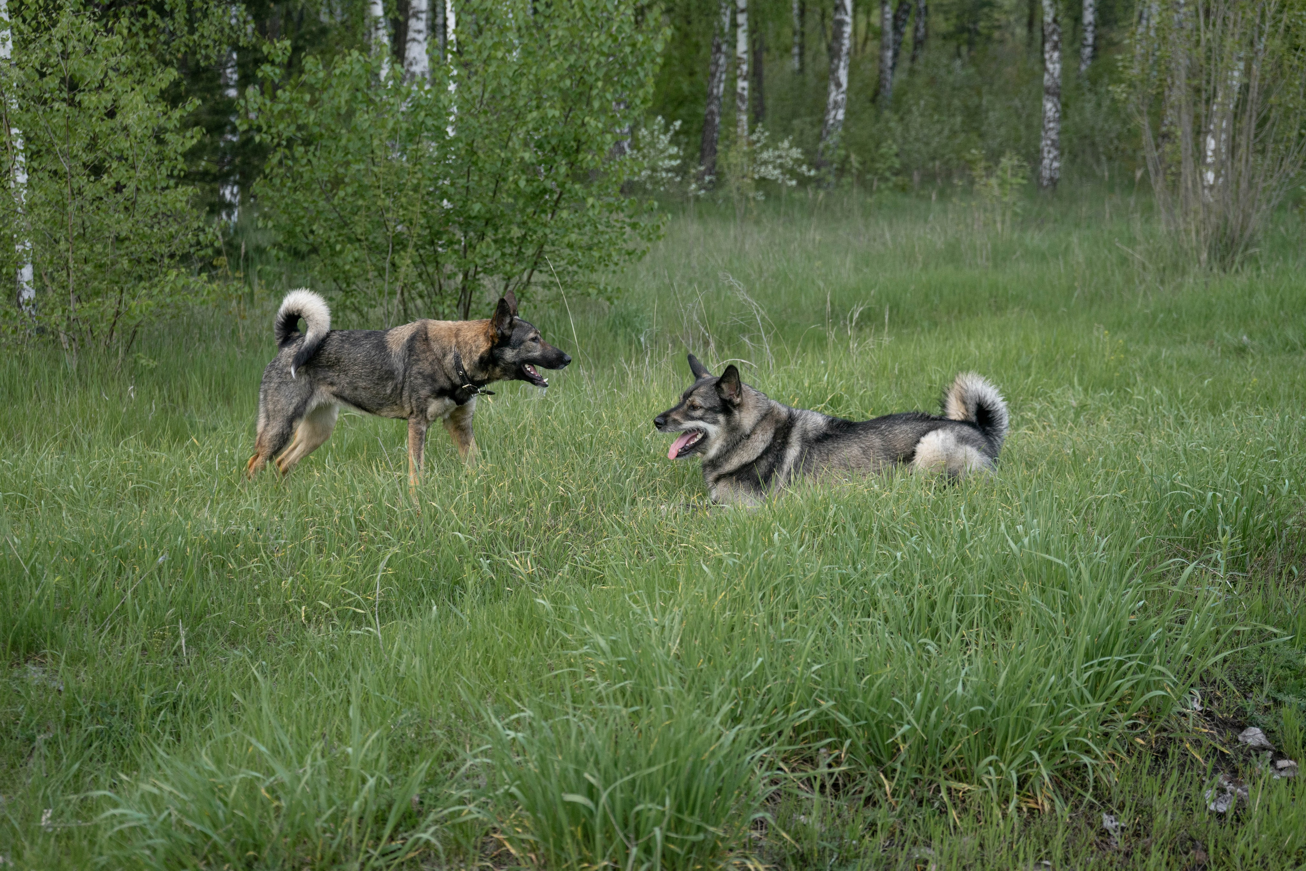 Jack. Lifestyle photographer Turku. I catch emotions in the frame