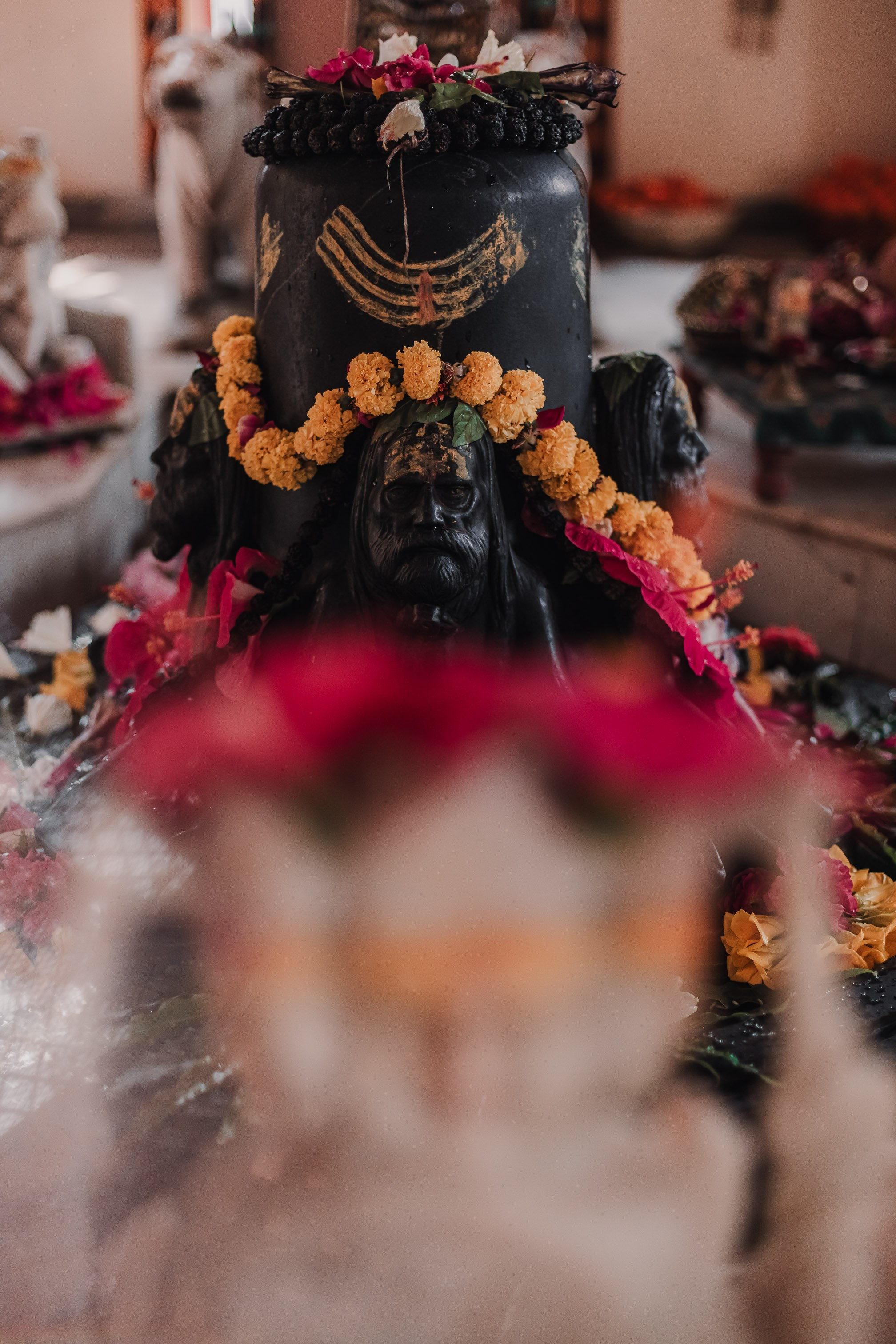 Devraha Baba Ji Ashram in Vrindavan. Мариам Багдасарян