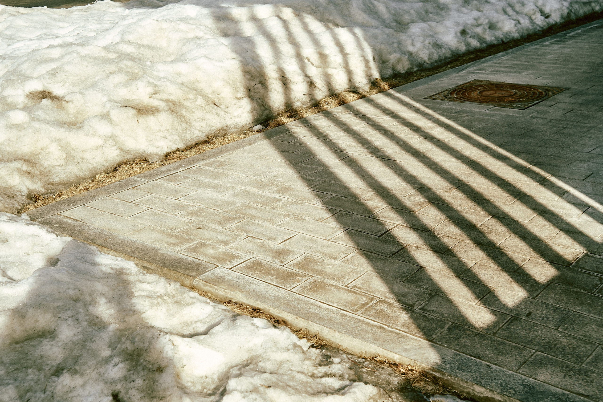 Москва. Фотограф и оператор мероприятий, концертов и портретов в городе Москва
