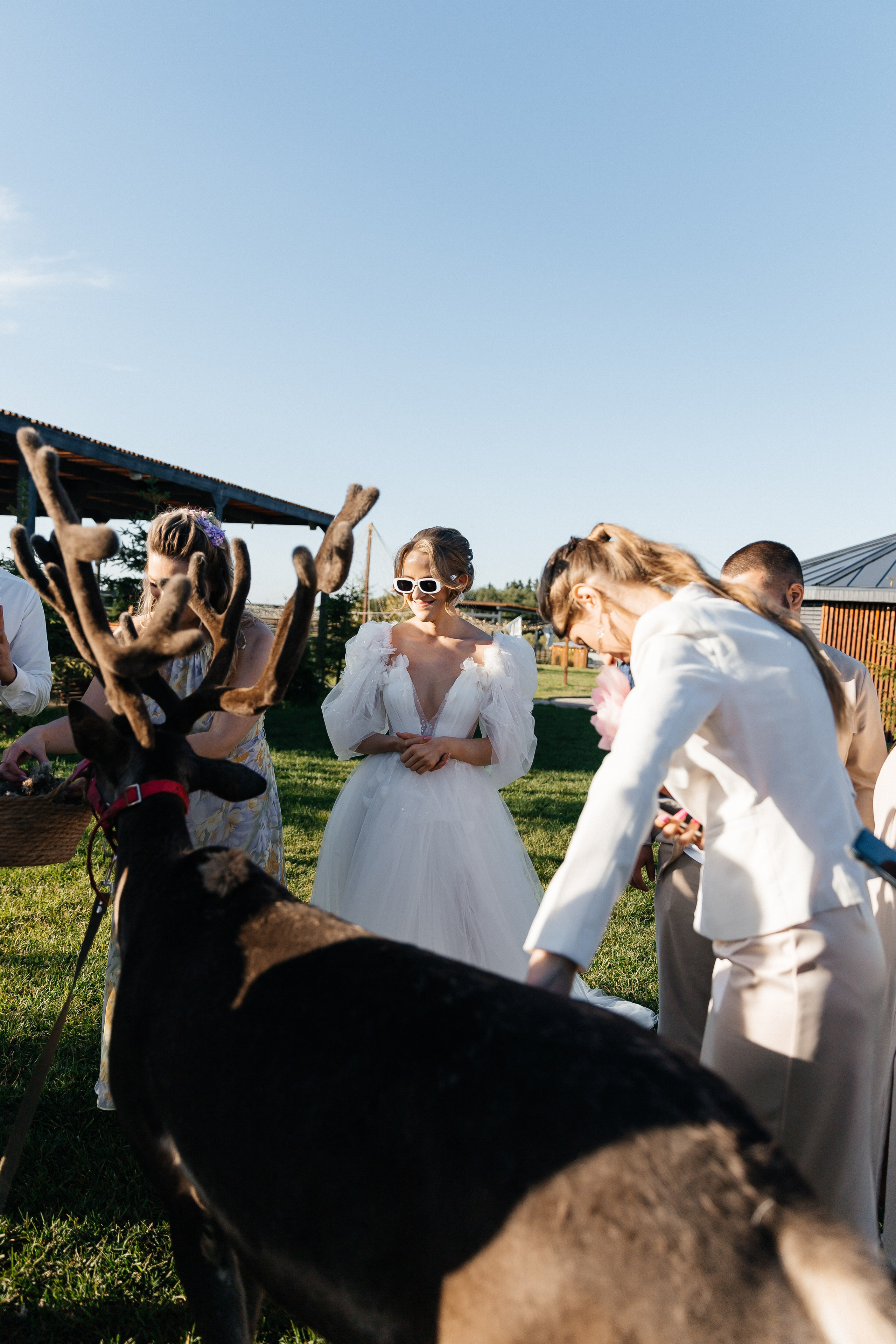Александр и Евгения. Свадебный и репортажный фотограф в Санкт-Петербурге Николай Голованов