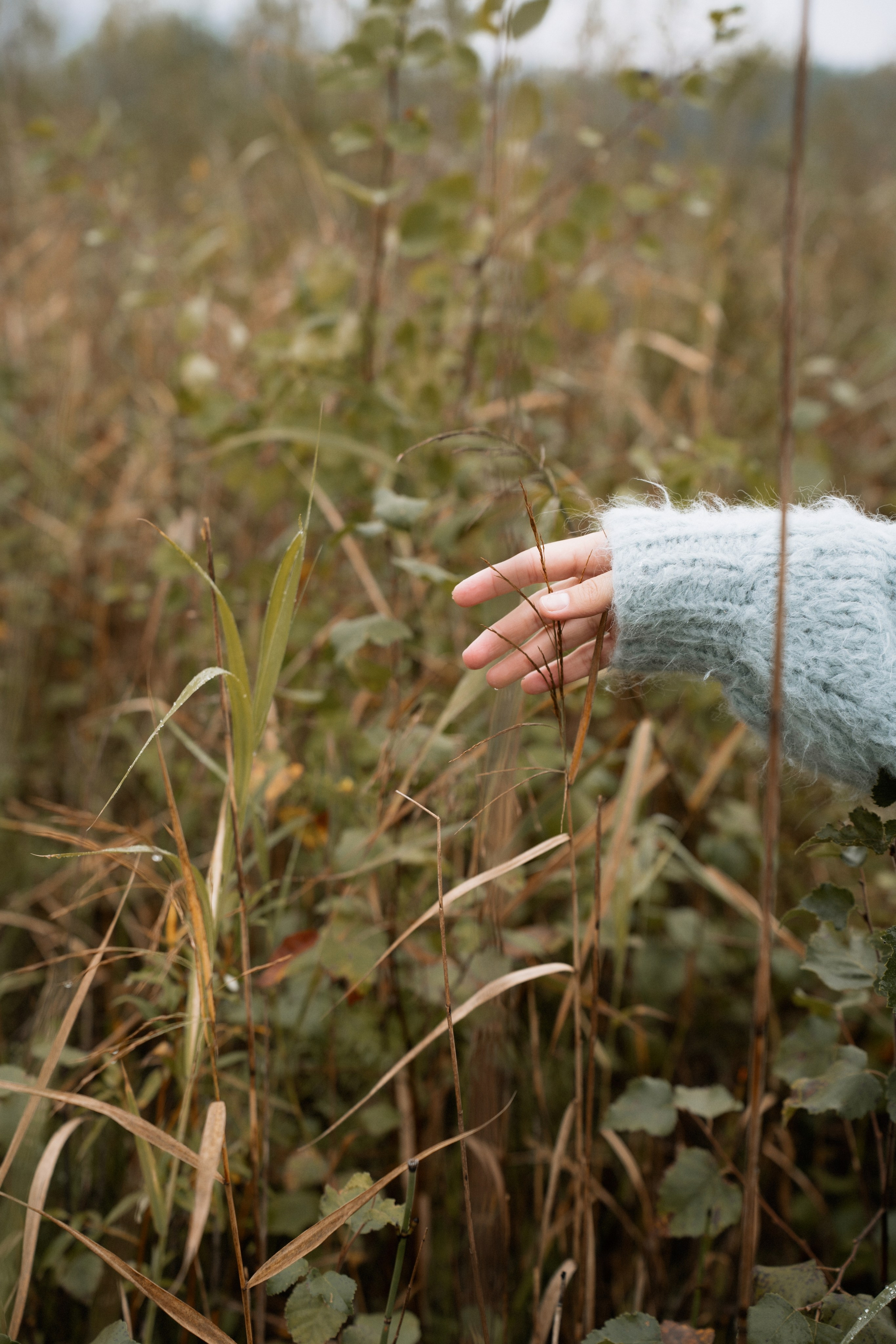 Ирина. Утренняя съемка. Яна Орехова. Фотограф в Томске