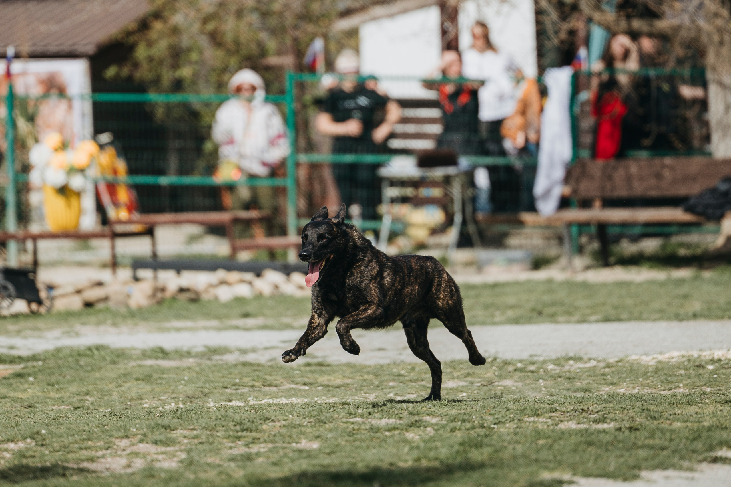 Геленджик Мондьоринг. Фотограф-анималист Анна Маринич