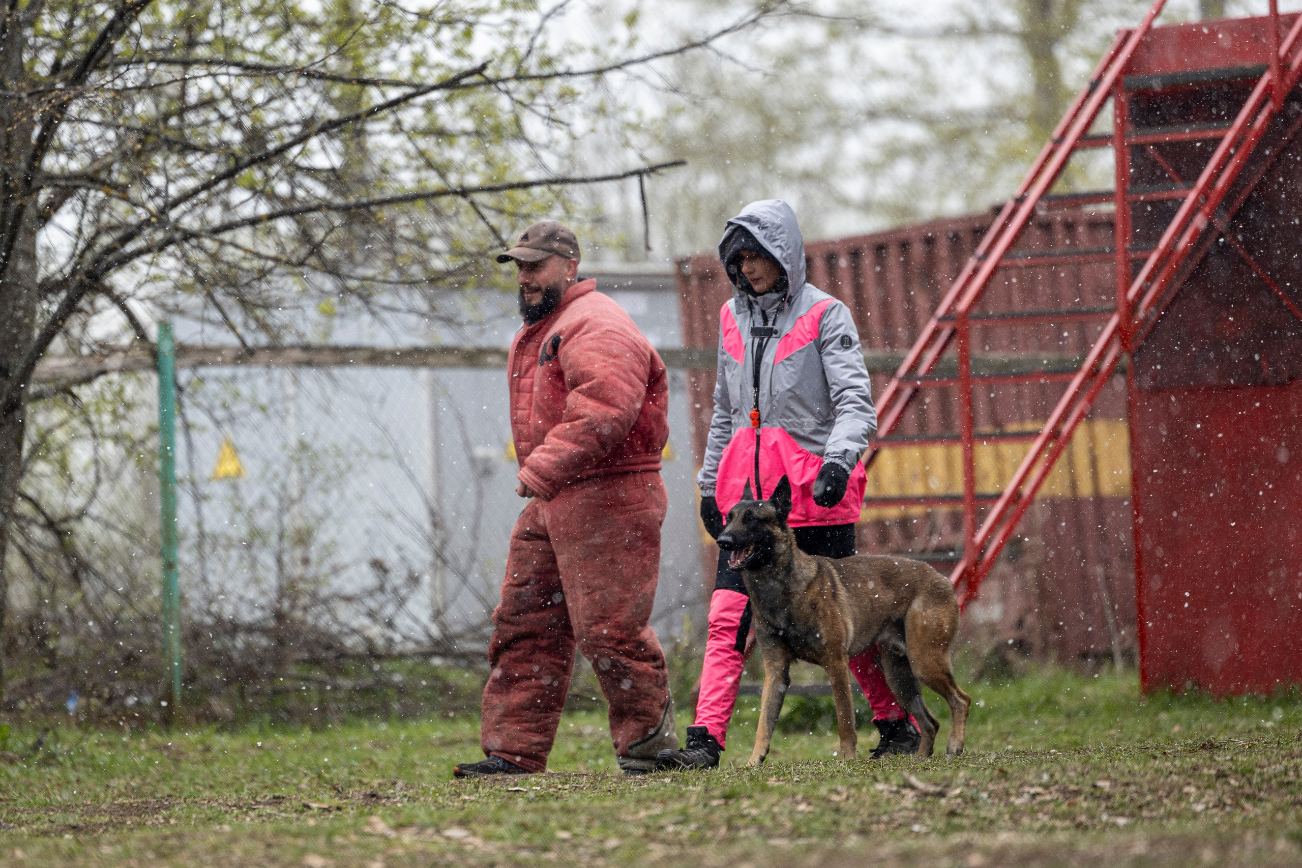Квалификационные состязания по мондьорингу г. Вологда 11.05.24. Фотограф-анималист Анна Маринич