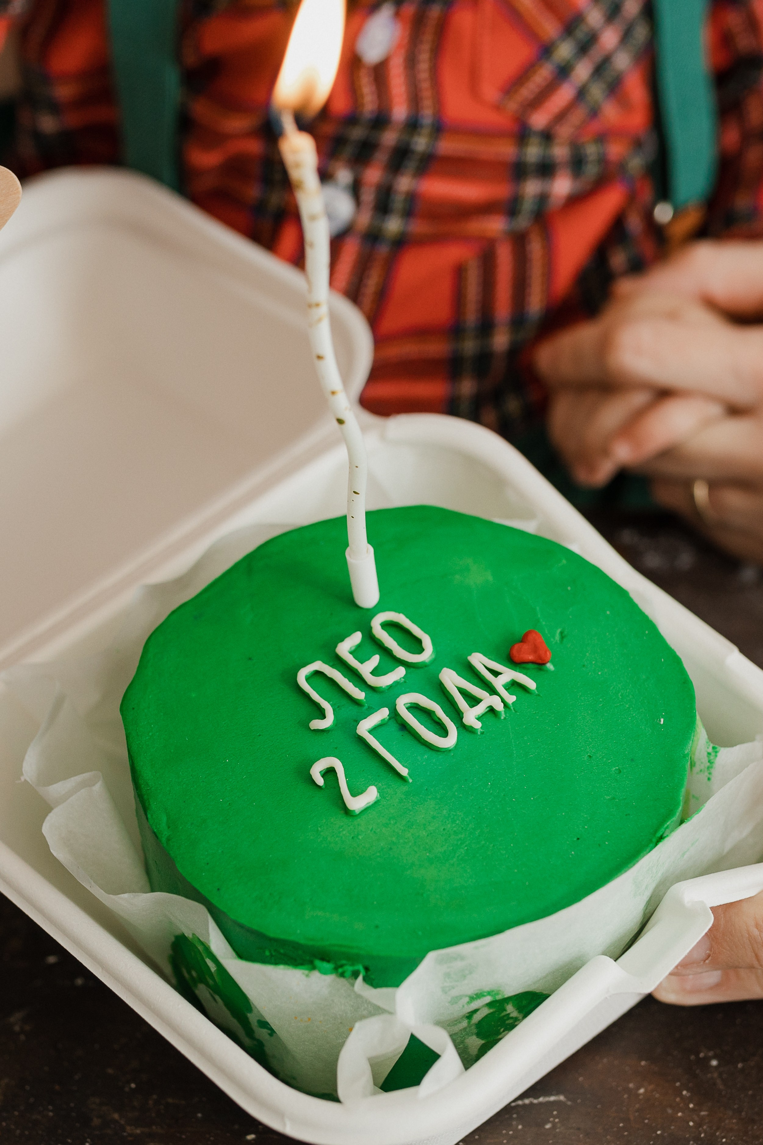 День Рождения Лео. Семейный и детский фотограф в городе Подолск МО Крылова Ирина