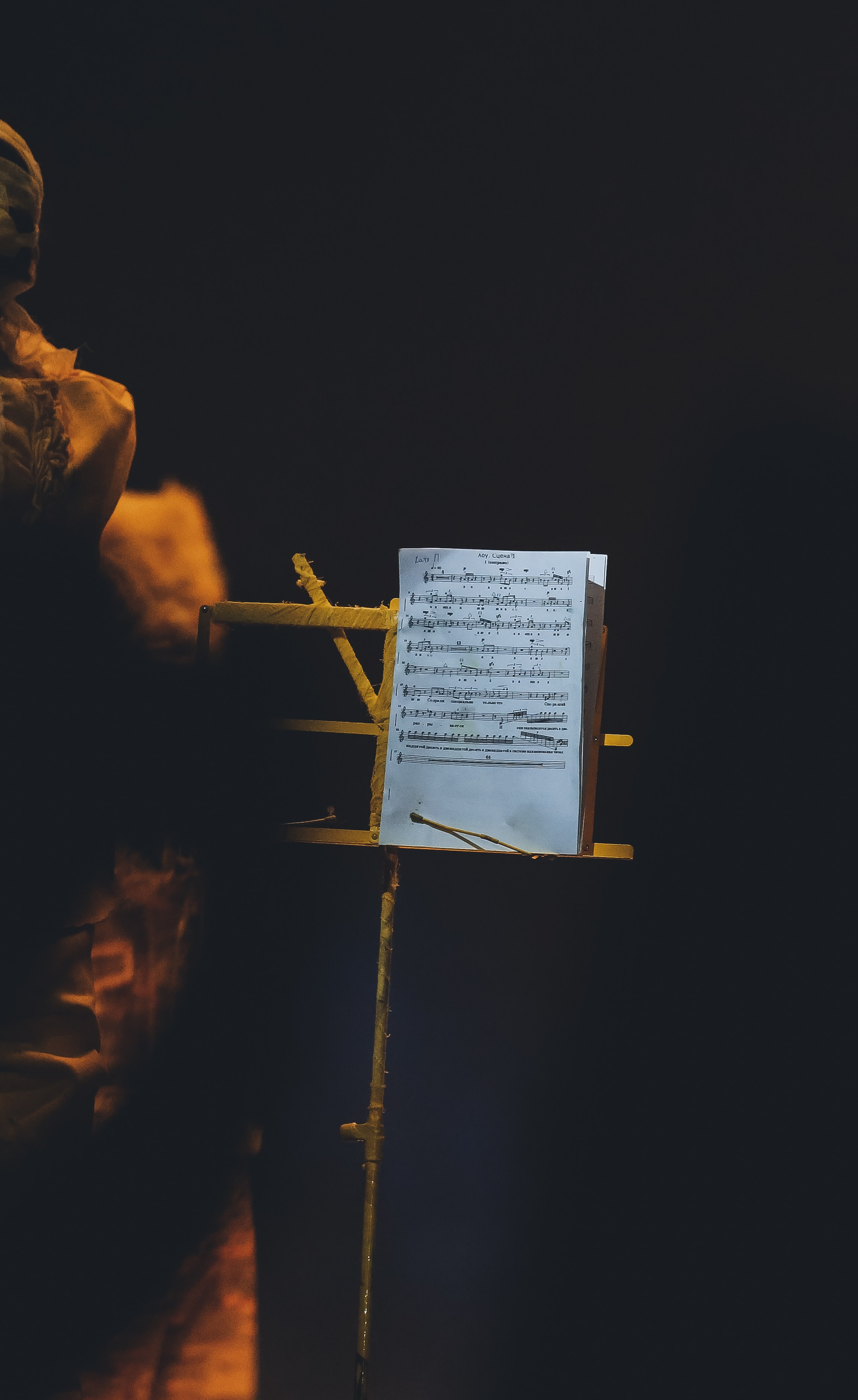 Фестиваль «КоOPERАция» — sci-art. Дарья Письменюк / Darya Leitstern — фотограф, музыкант, журналист, путешественник