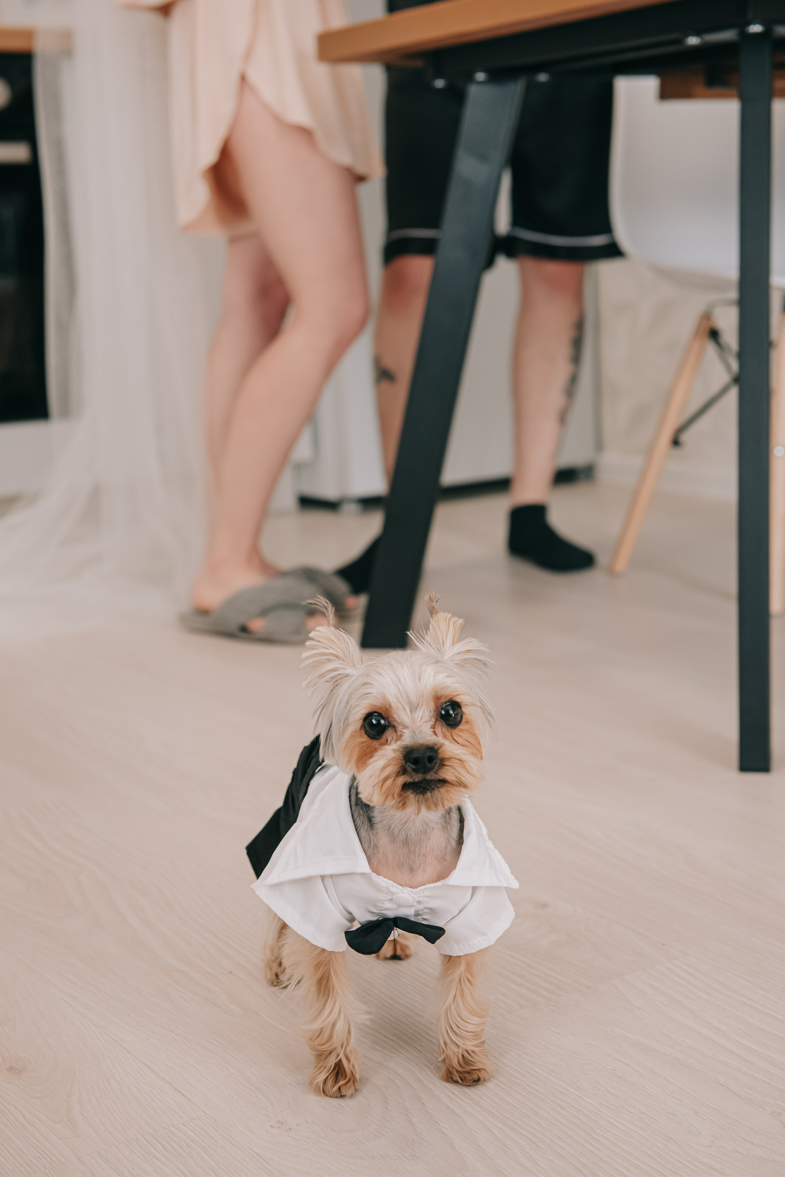 Свадьба Дмитрия и Юлии. Фотограф в Краснодаре Зеленкина Дарья