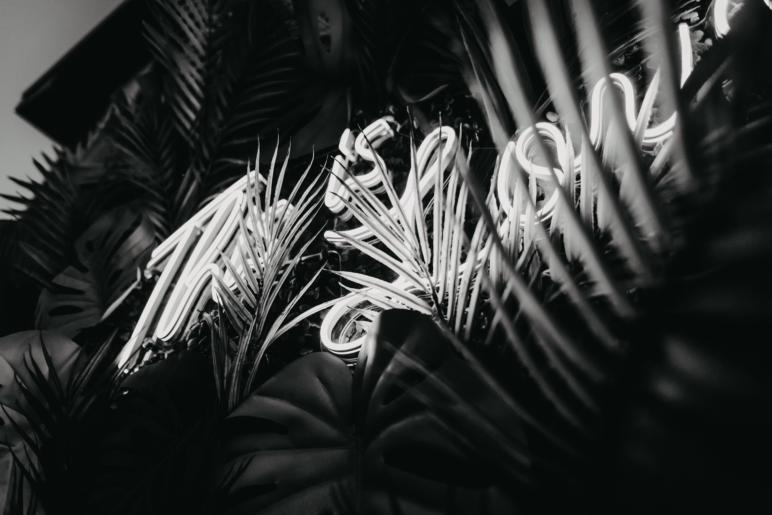 Anton & Yulia. ФОТОГРАФ ИРИНА ШАМАТАВА