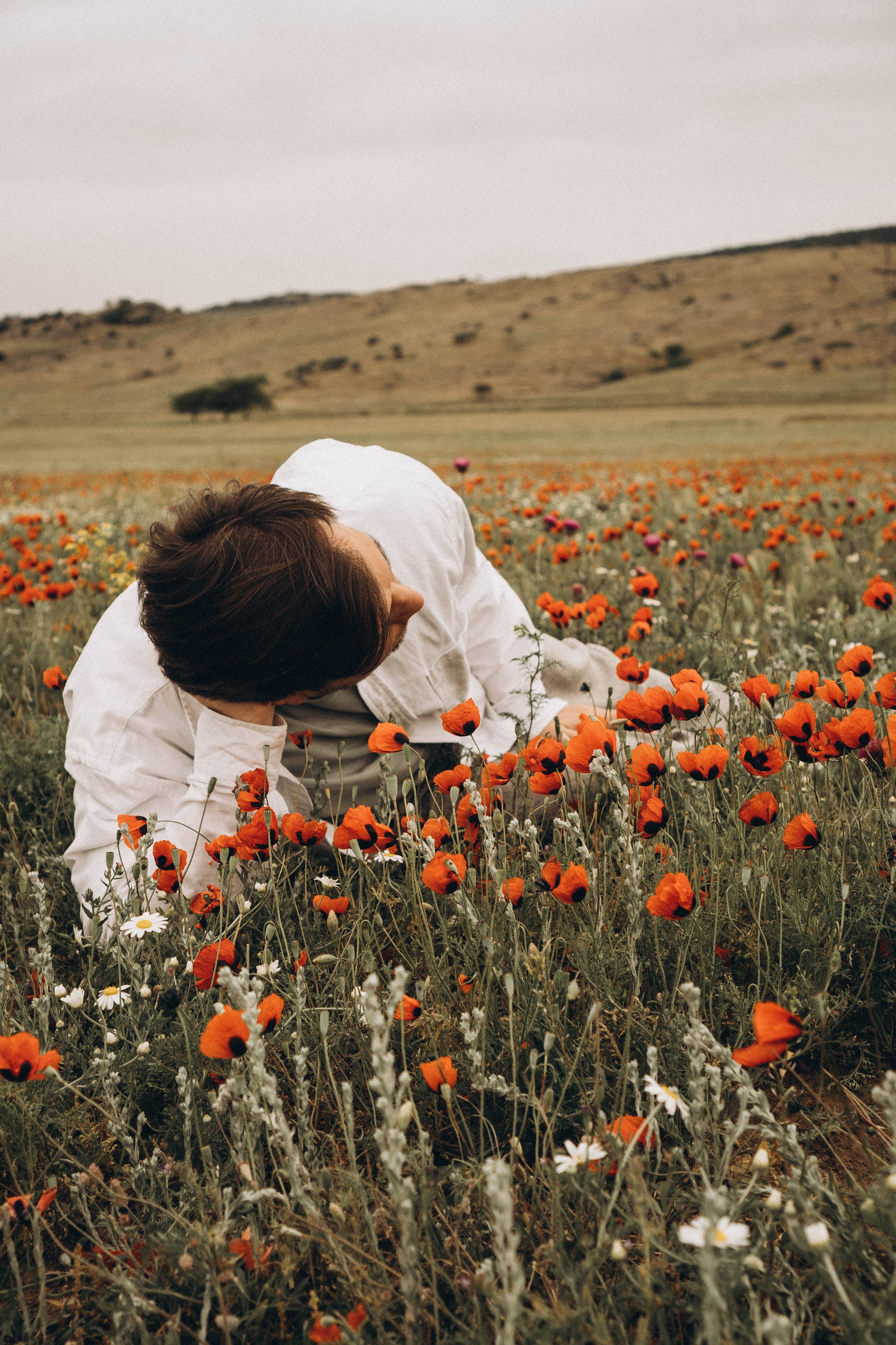 Маки. Профессиональный фотограф, Санкт-Петербург — Виктория Богомолова