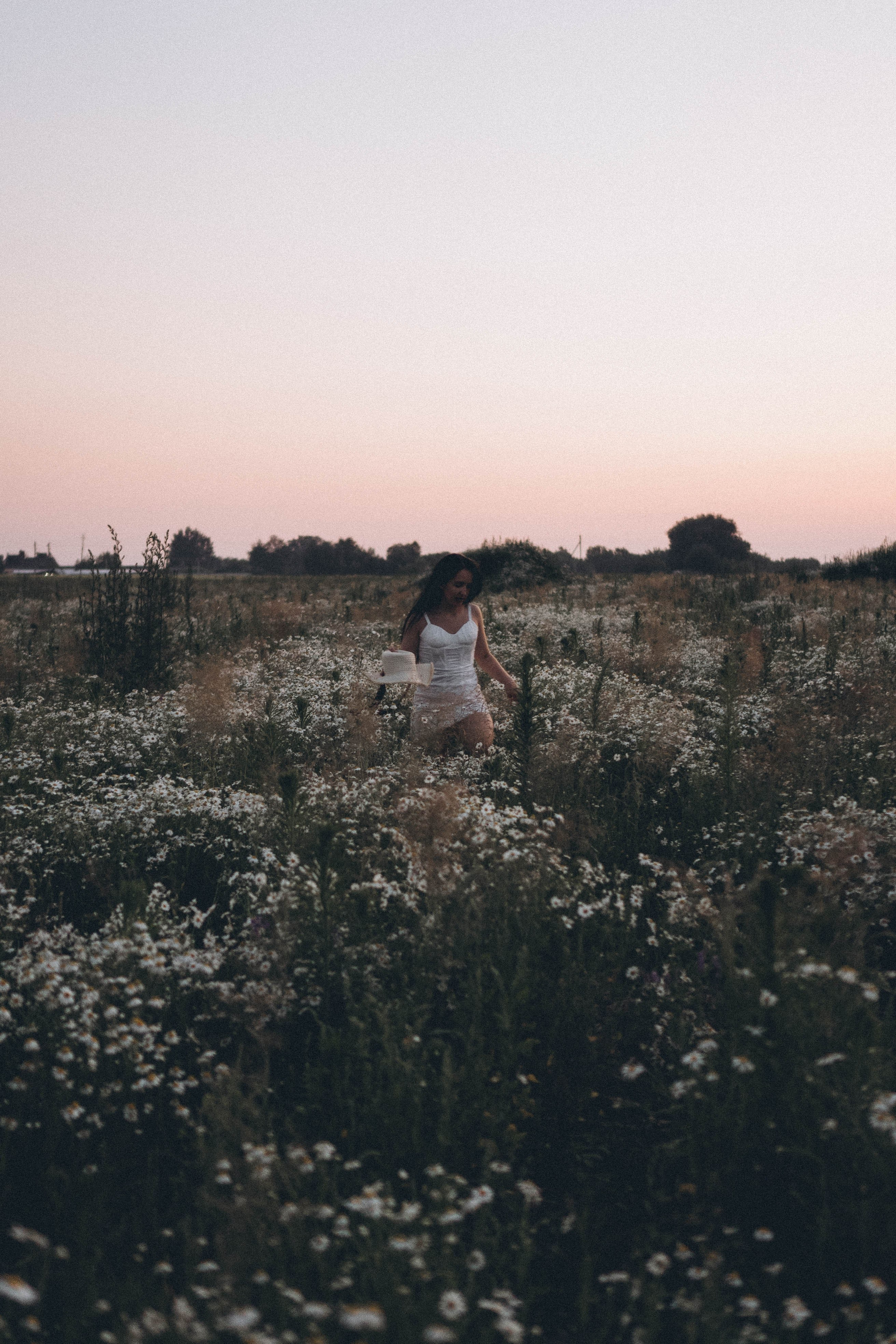 Ромашковое поле. Профессиональный фотограф, Санкт-Петербург — Виктория Богомолова