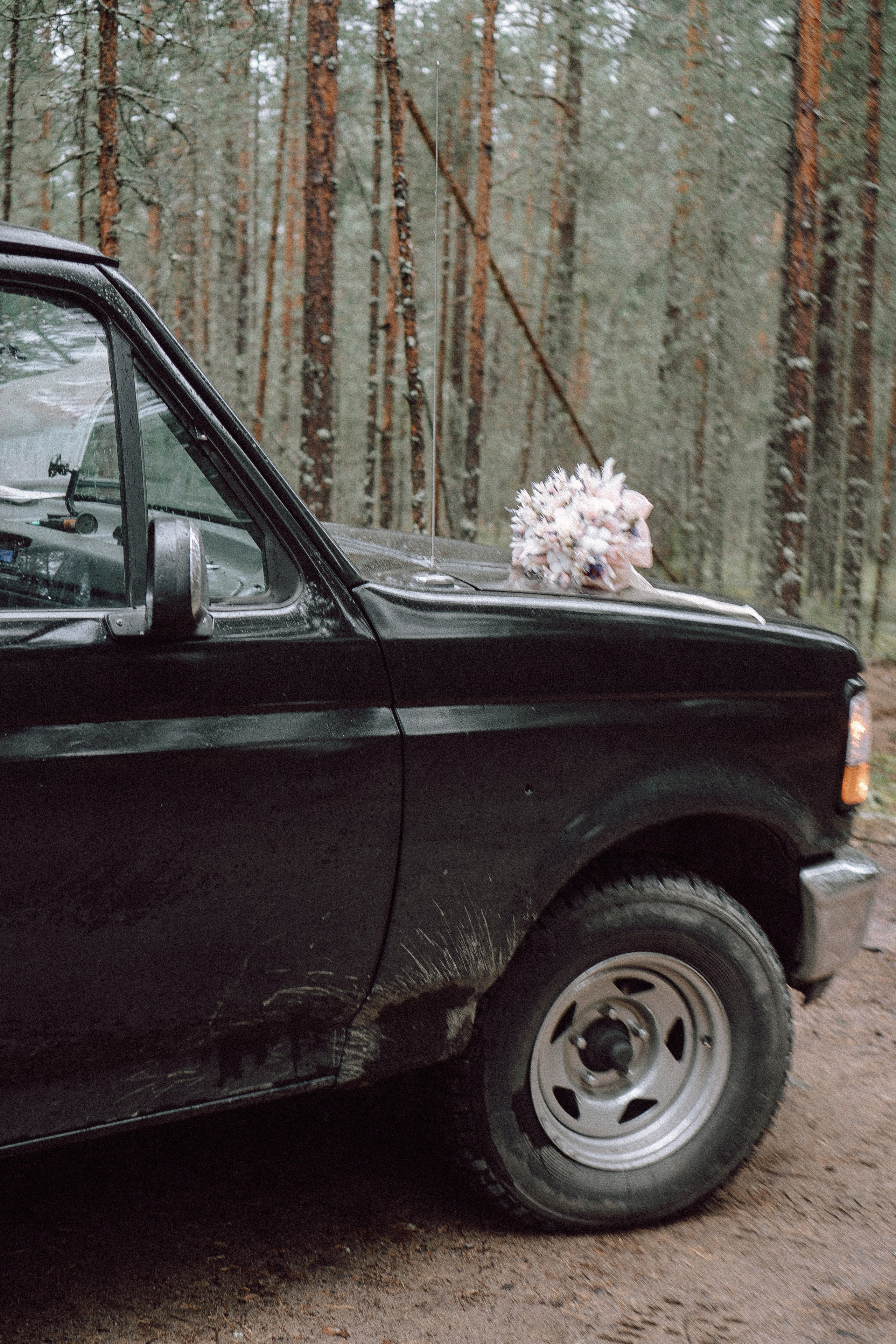 СВАДЕБНАЯ ФОТОСЕССИИЯ ПАРЫ В ГОРОДЕ ПРИОЗЕРСК В СОСНОВОМ ЛЕСУ И С ПИКАПОМ. Профессиональный фотограф, Санкт-Петербург — Виктория Богомолова