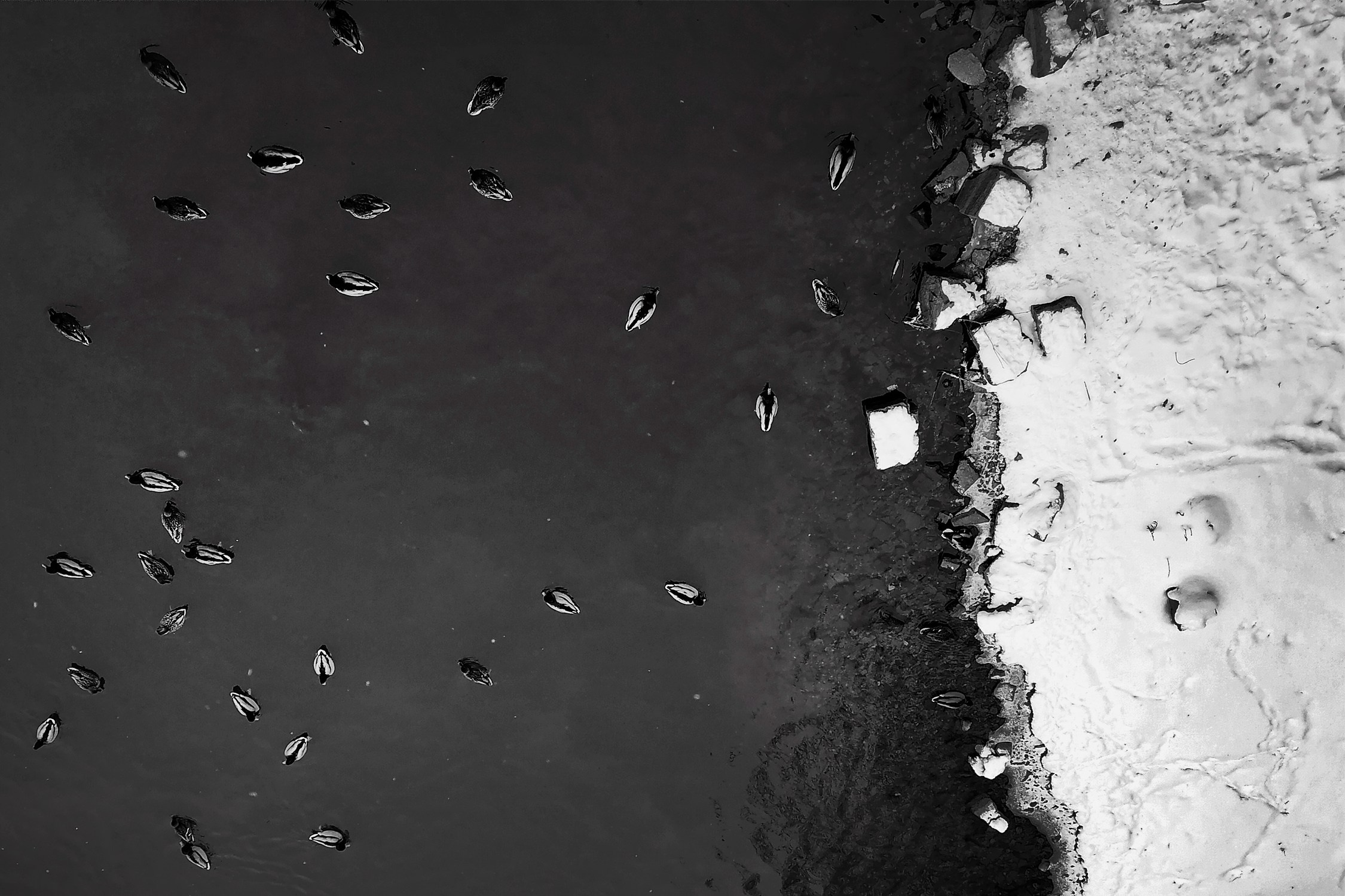 Улицы. Фотографии Марины Бурнашовой