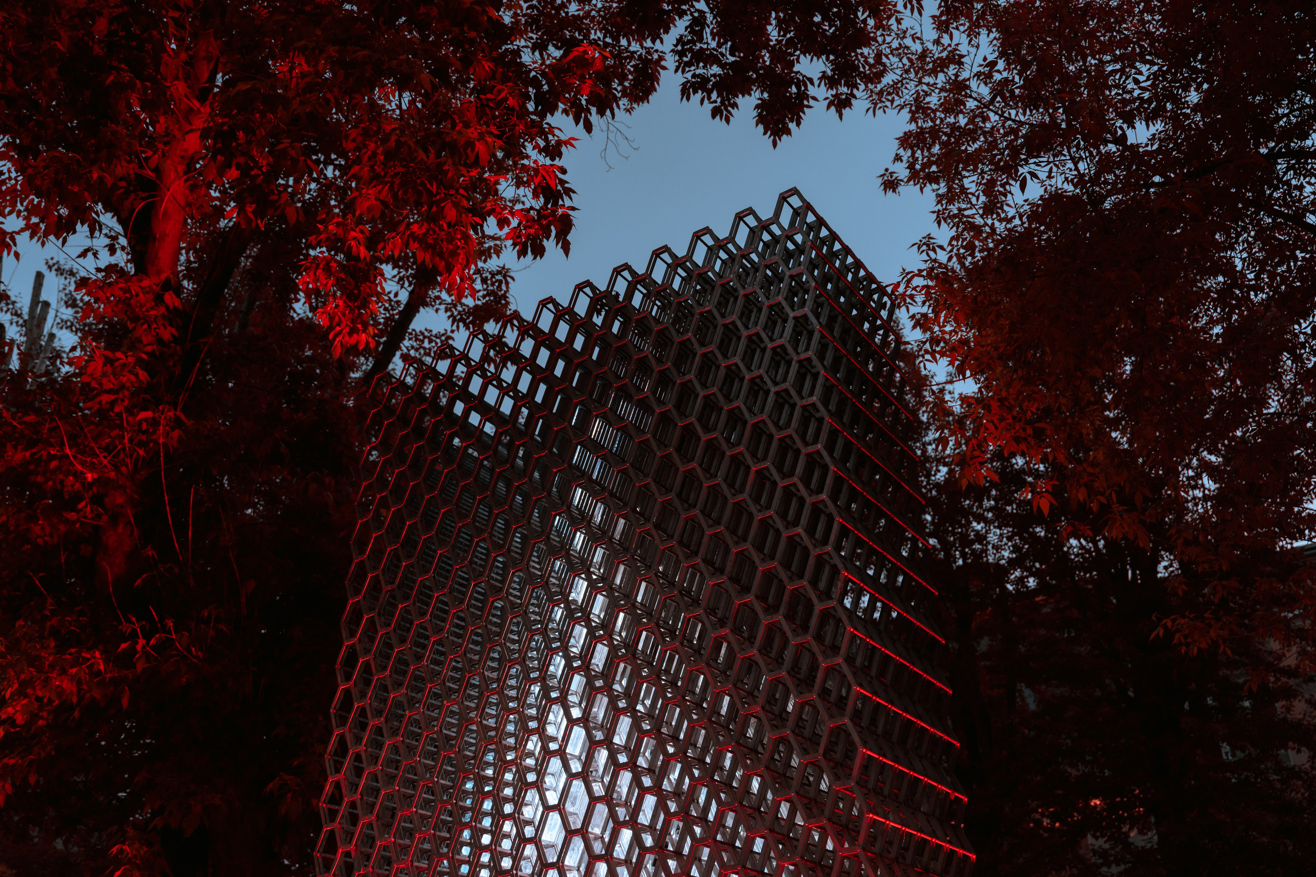 Кристалл представления ─ Сергей Кузнецов, Иван Греков. @tomrus: Рустам Шагиморданов — фотограф