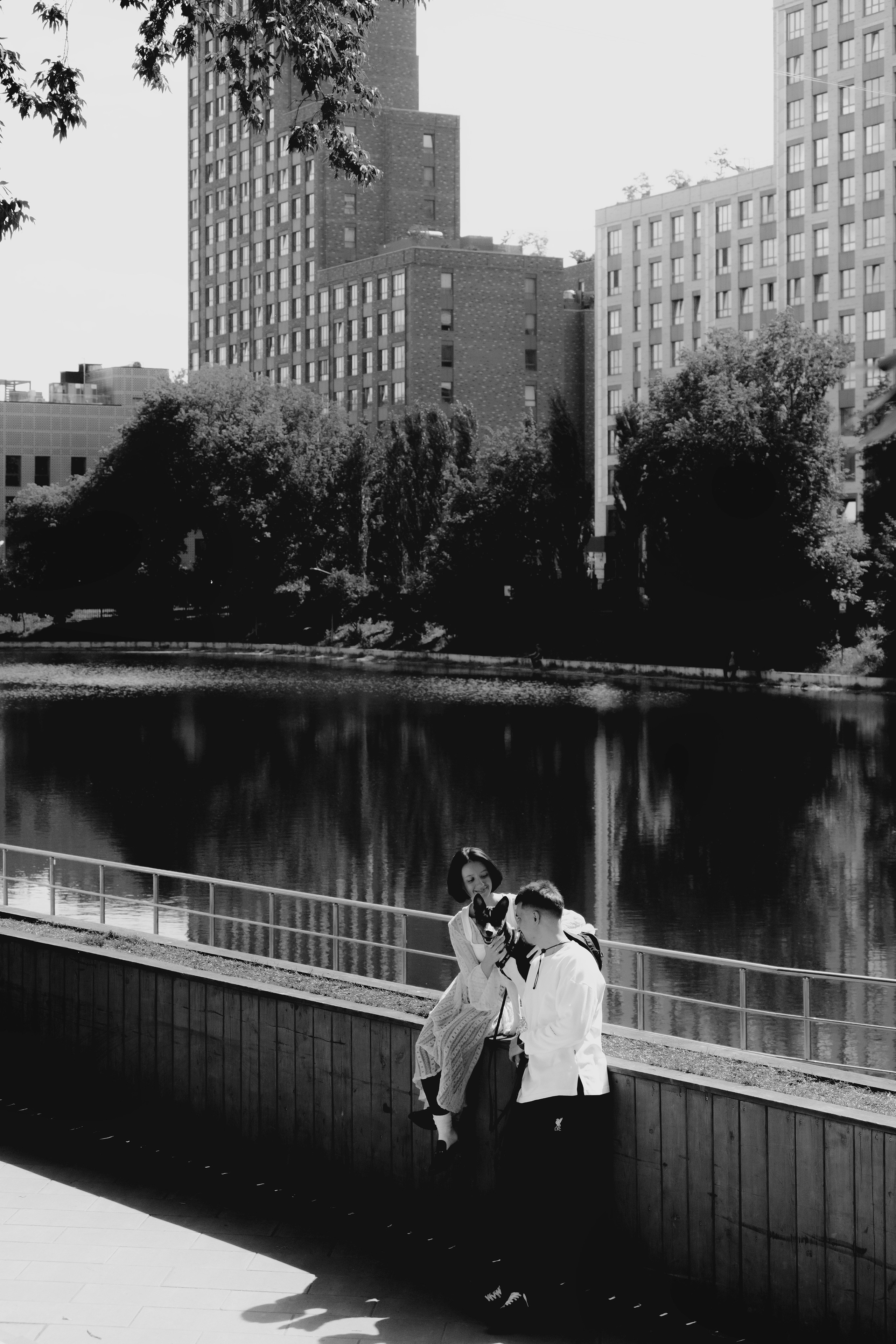 Заказать съемку. Фотограф- анималист Александра Матвеева