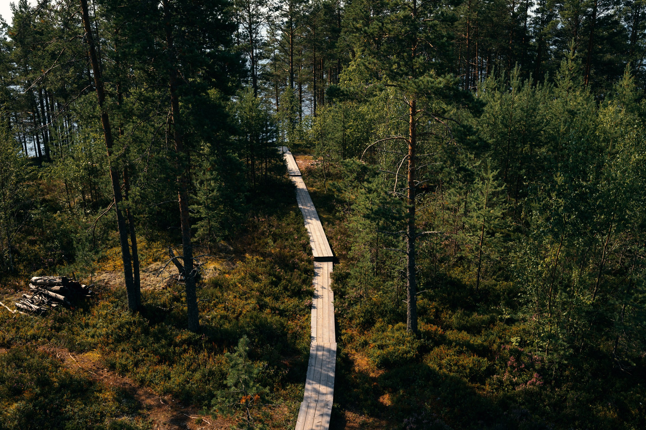 Карелия. Komonev