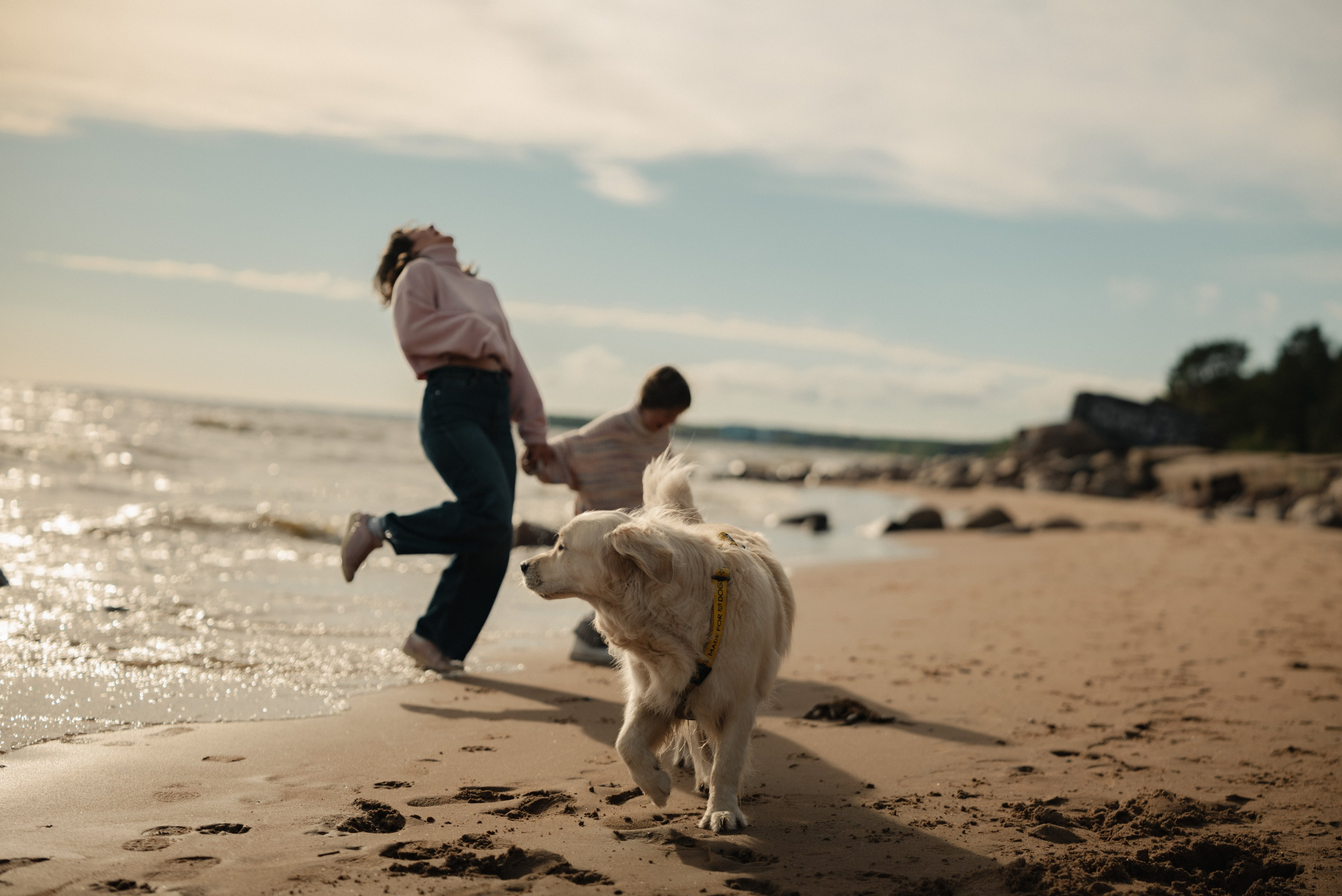 Семейная фотосессия спб. Фотограф Ника Лиепа