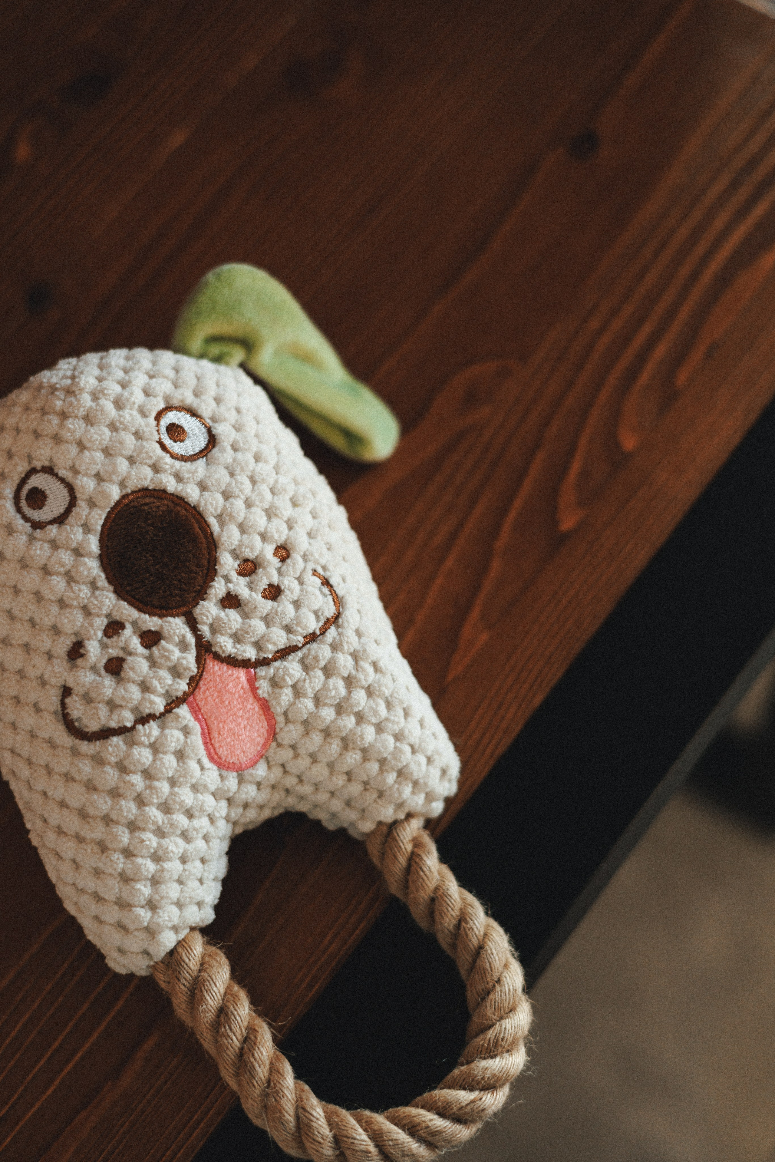 M-Pets. Фотограф анималист Осипчикова Мария