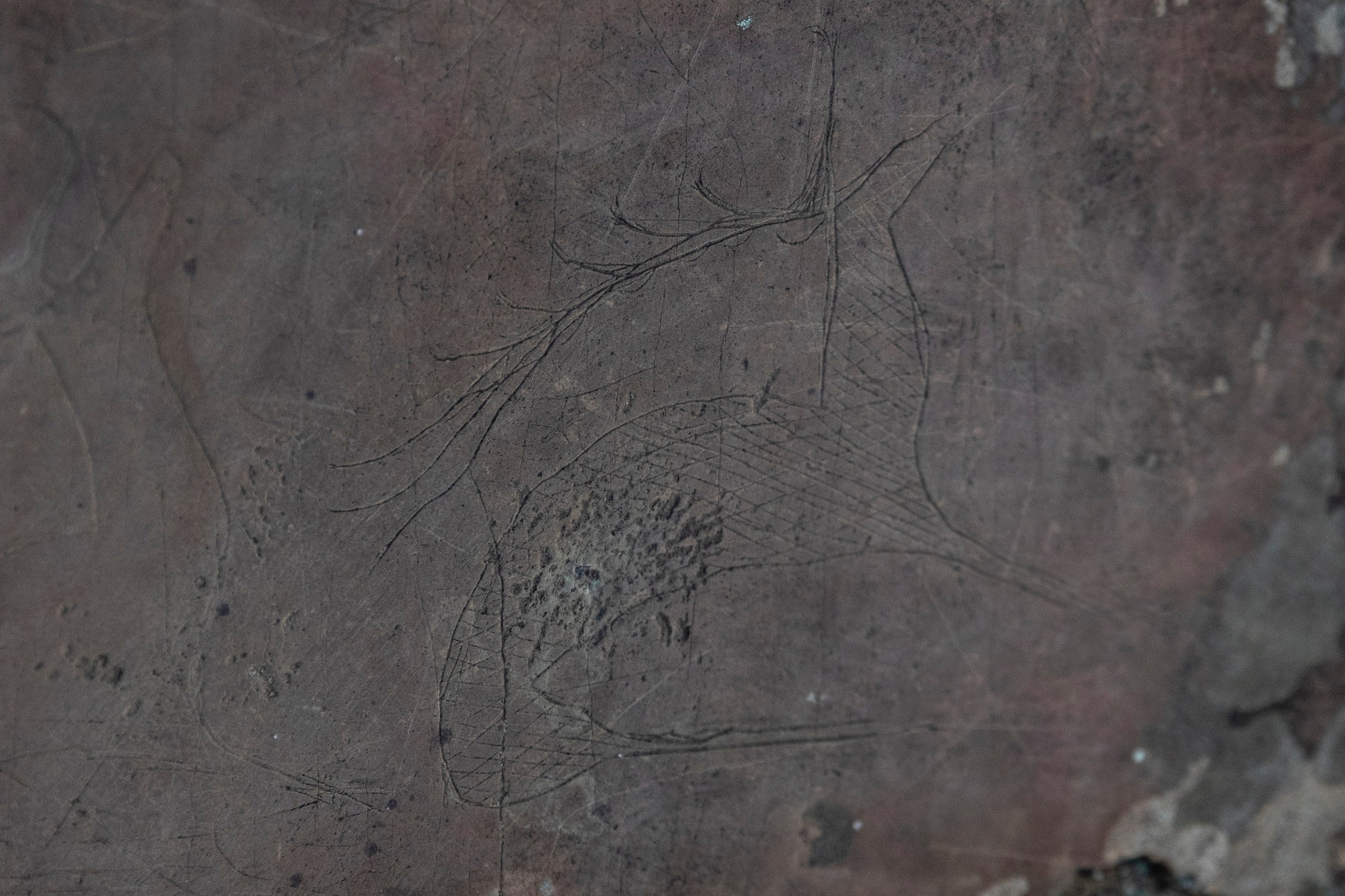 Алтай в декабре. Марина Захарова — Фотограф. Москва / Marina Zakharova — Photographer