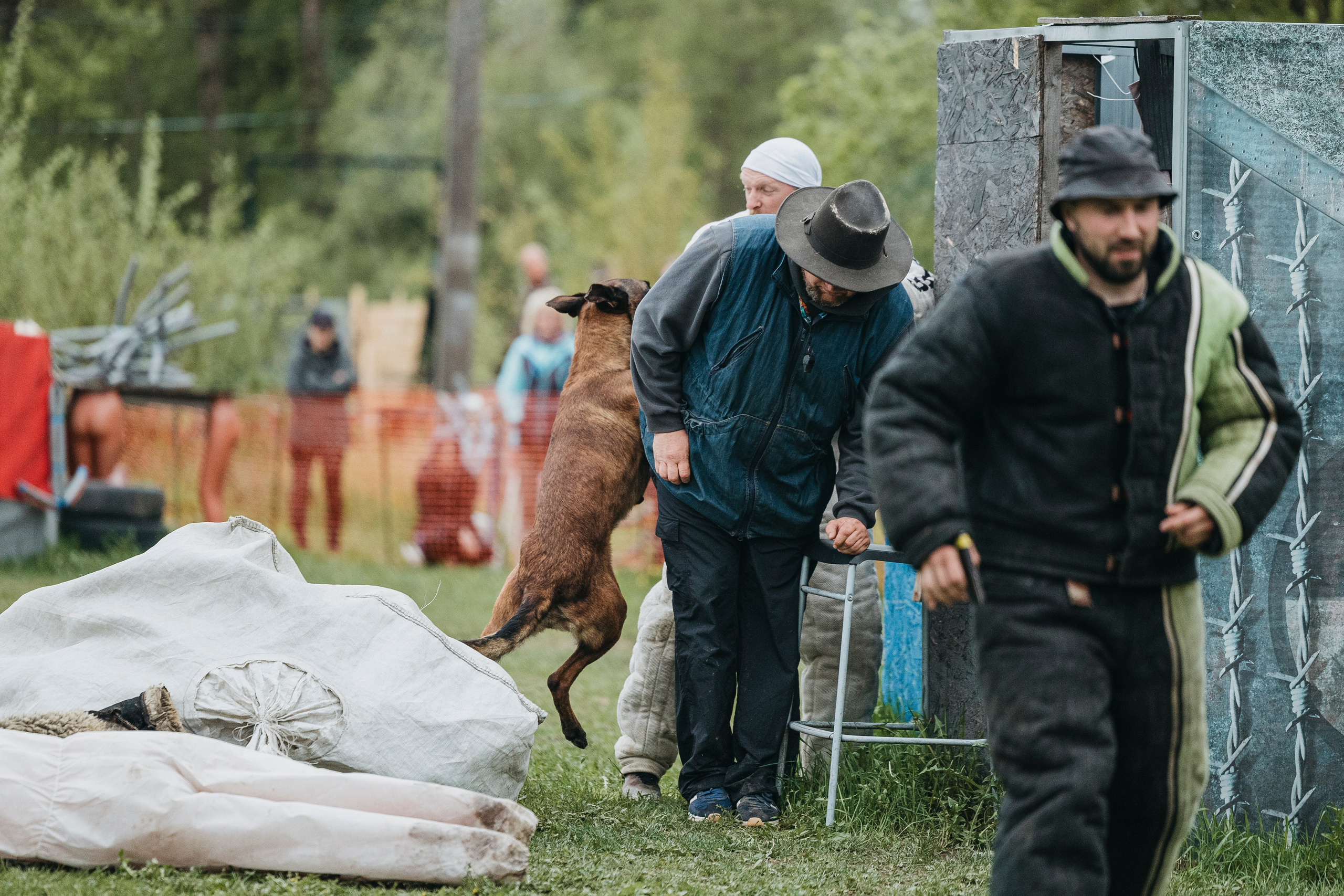 26.05.25 г. Пушкин квалификационные соревнования. Фотограф-анималист Анна Маринич