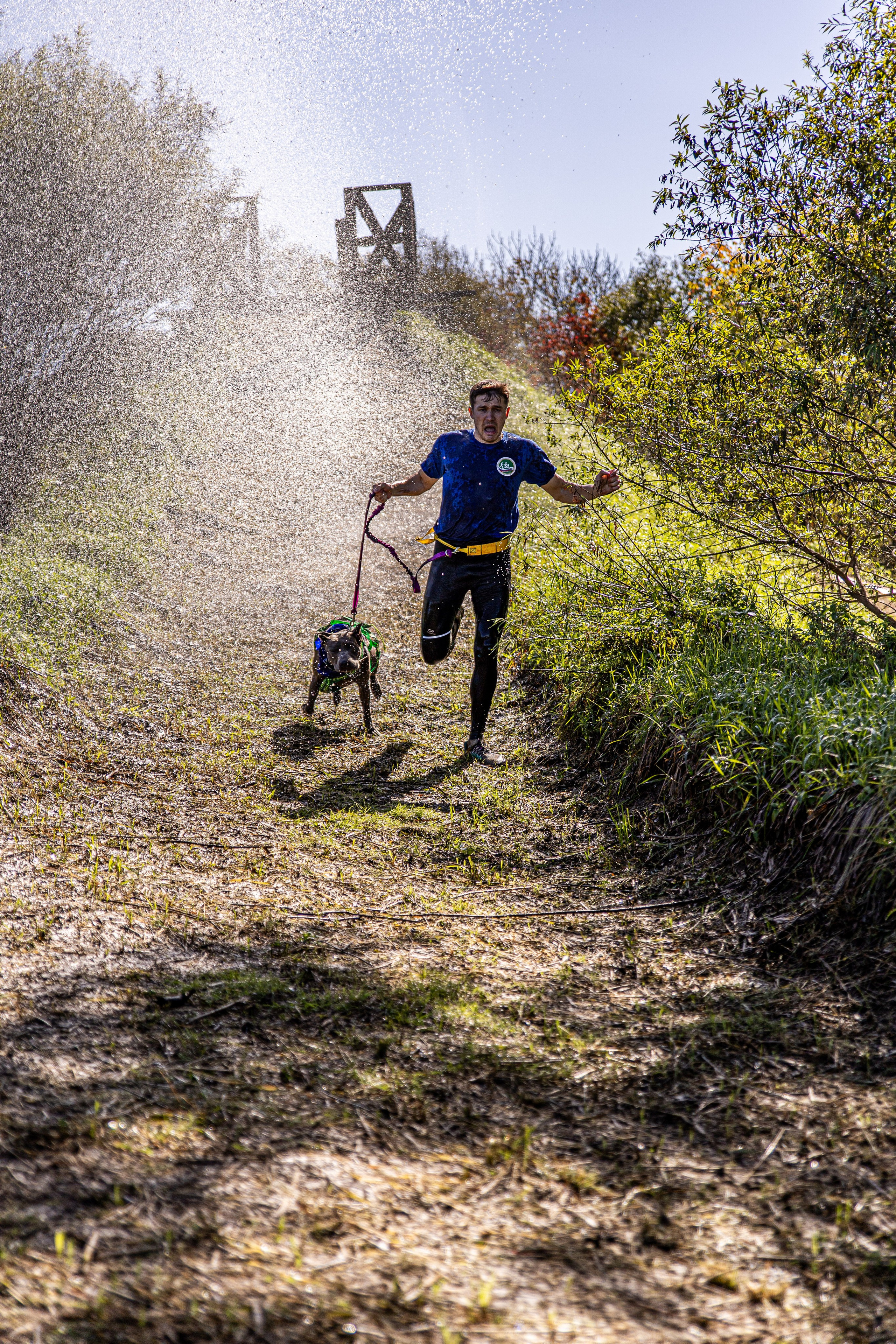 Dogtrail 2023. Уссурийск