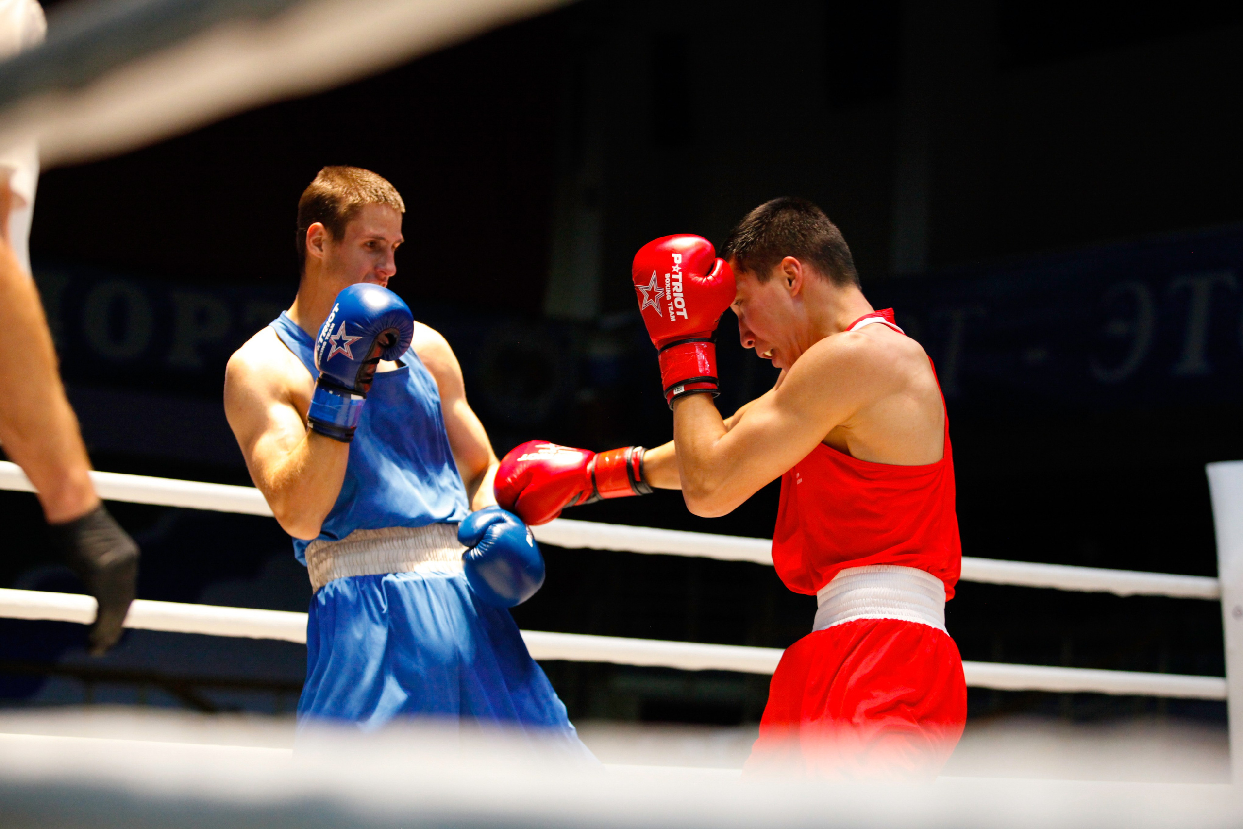 БОКС. Фото. Спортивный фотограф, трансляция, звук и свет в Новосибирске