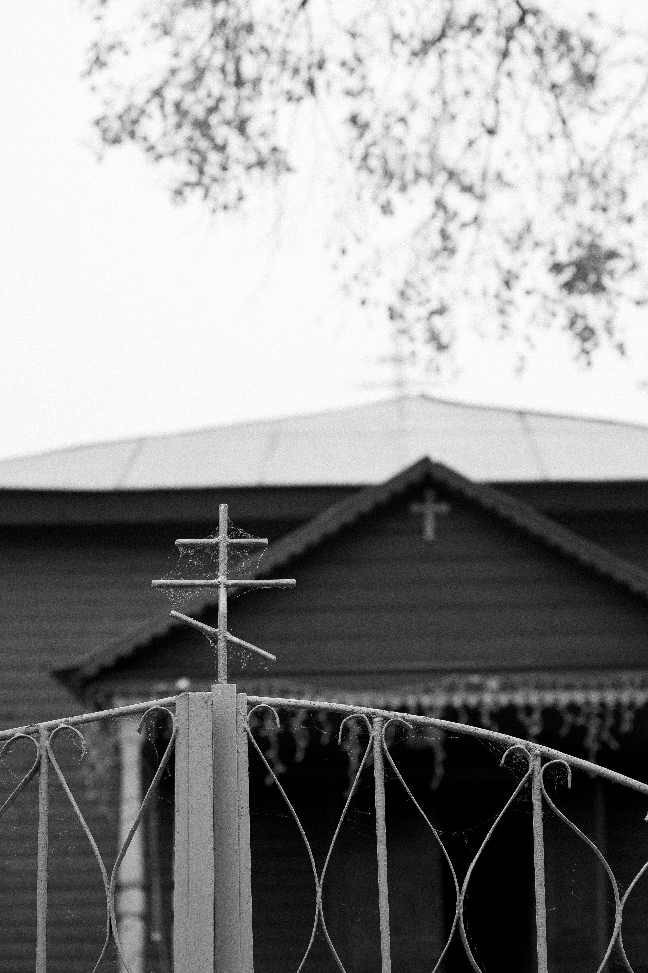 Крещение. Фотограф Петр Капралов