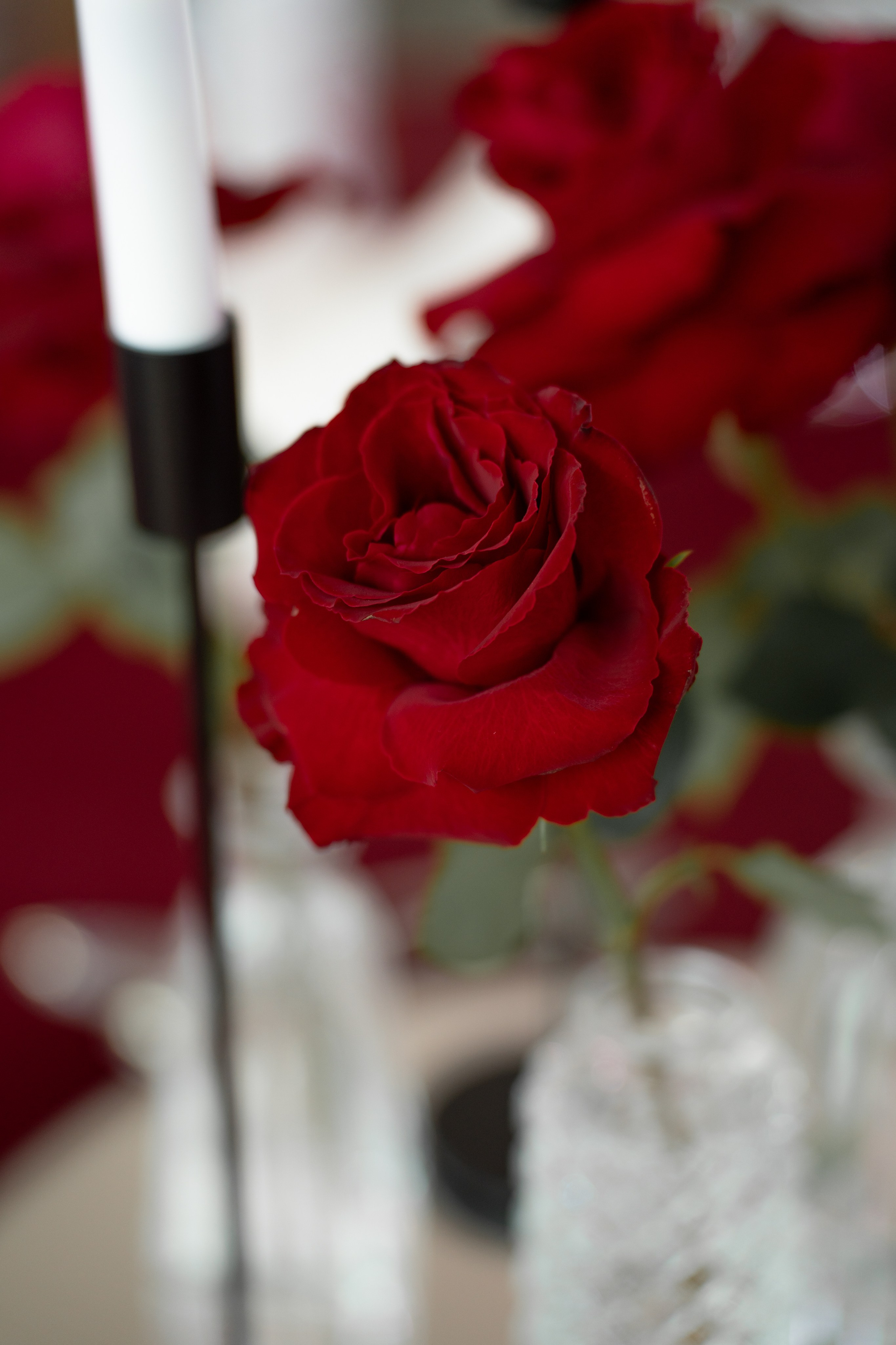 Свадебная съемка от фотографа Владислава Блинова — Идеальный свадебный образ для вашего дня. Vladislav Blinov photographer