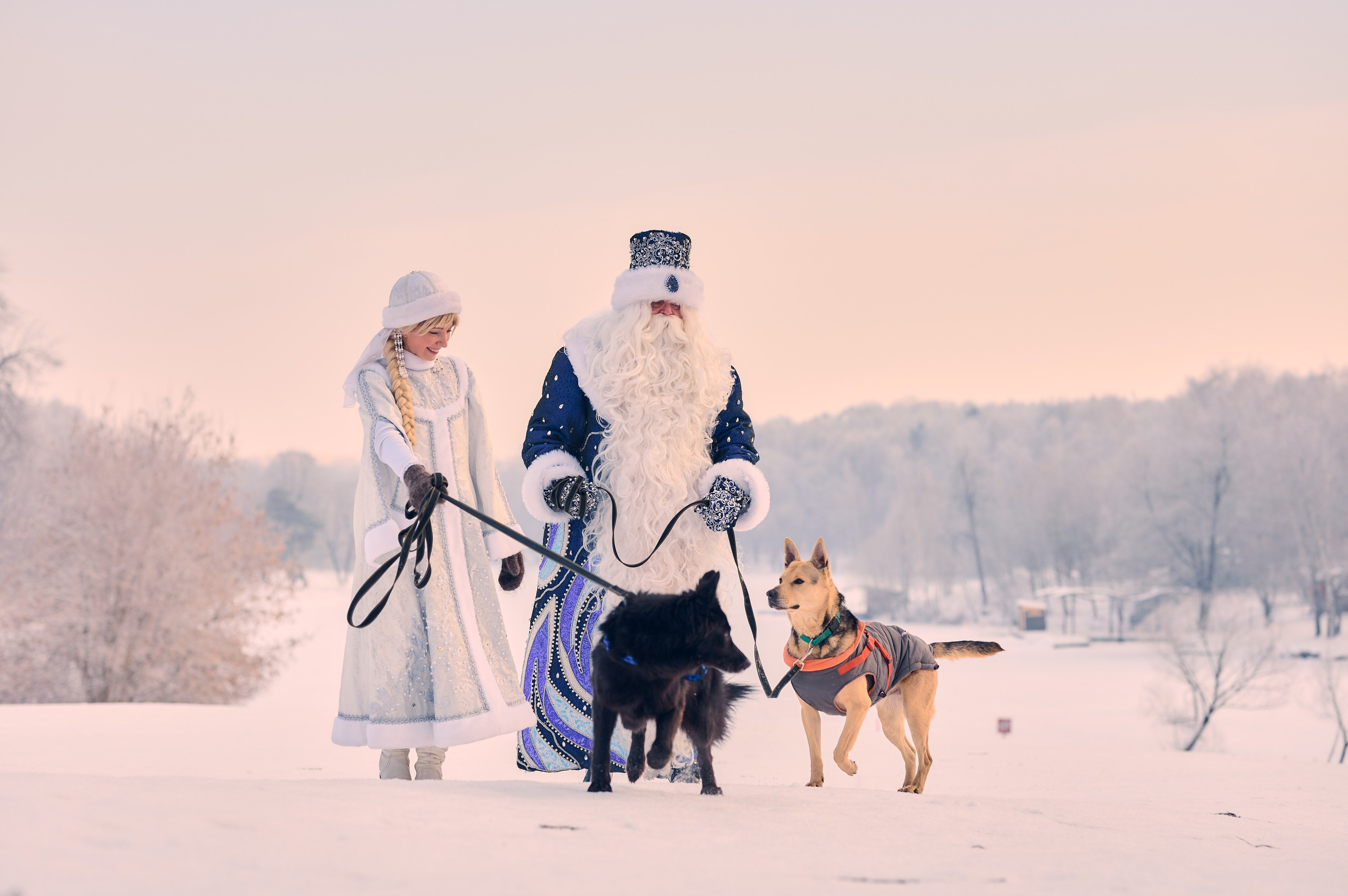 Промо приюта для собак. Никита Хохловский фото и видео продакшн