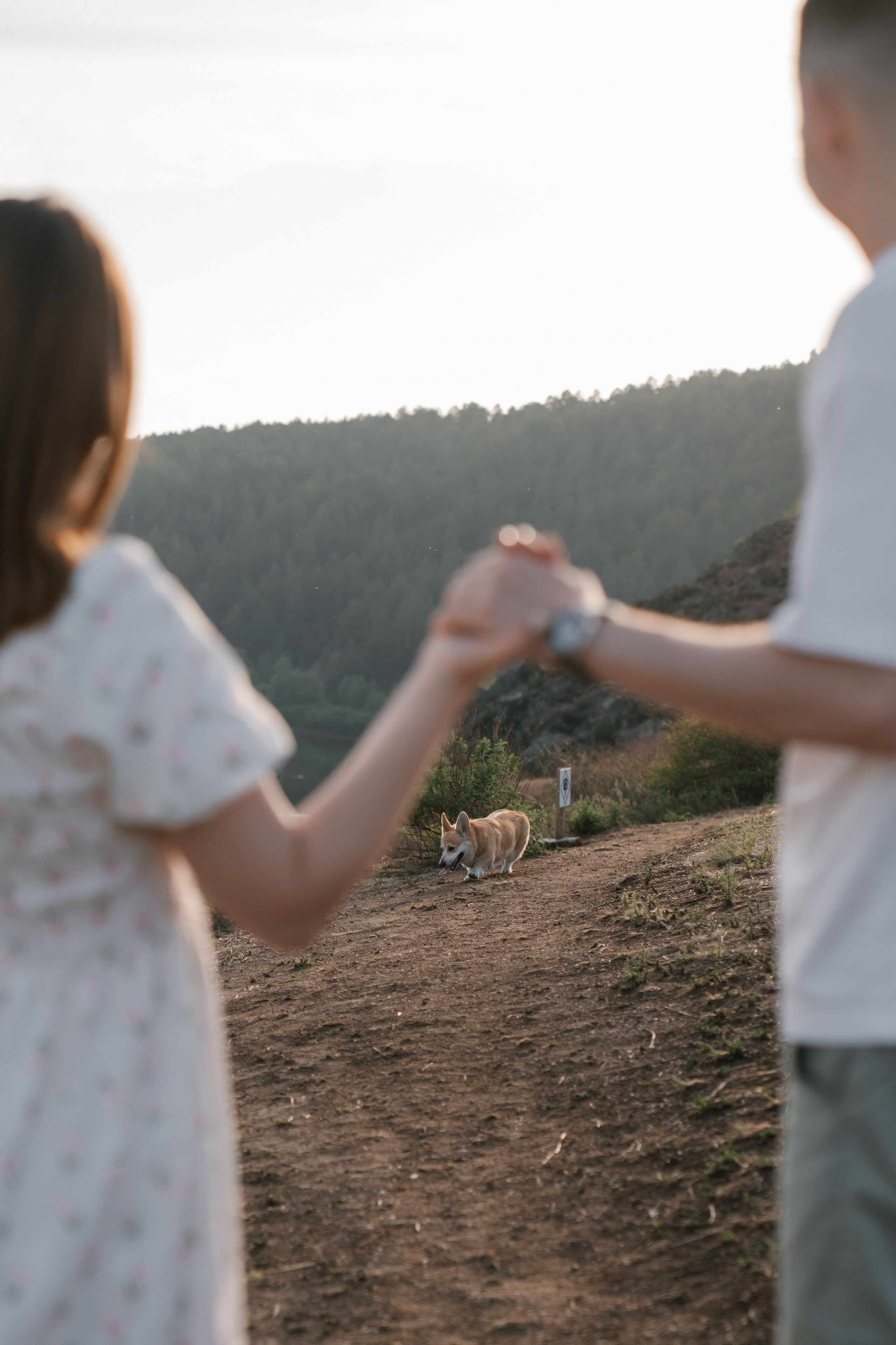 На закате. Евгения Арефьева — свадебный и портретный фотограф в Чите