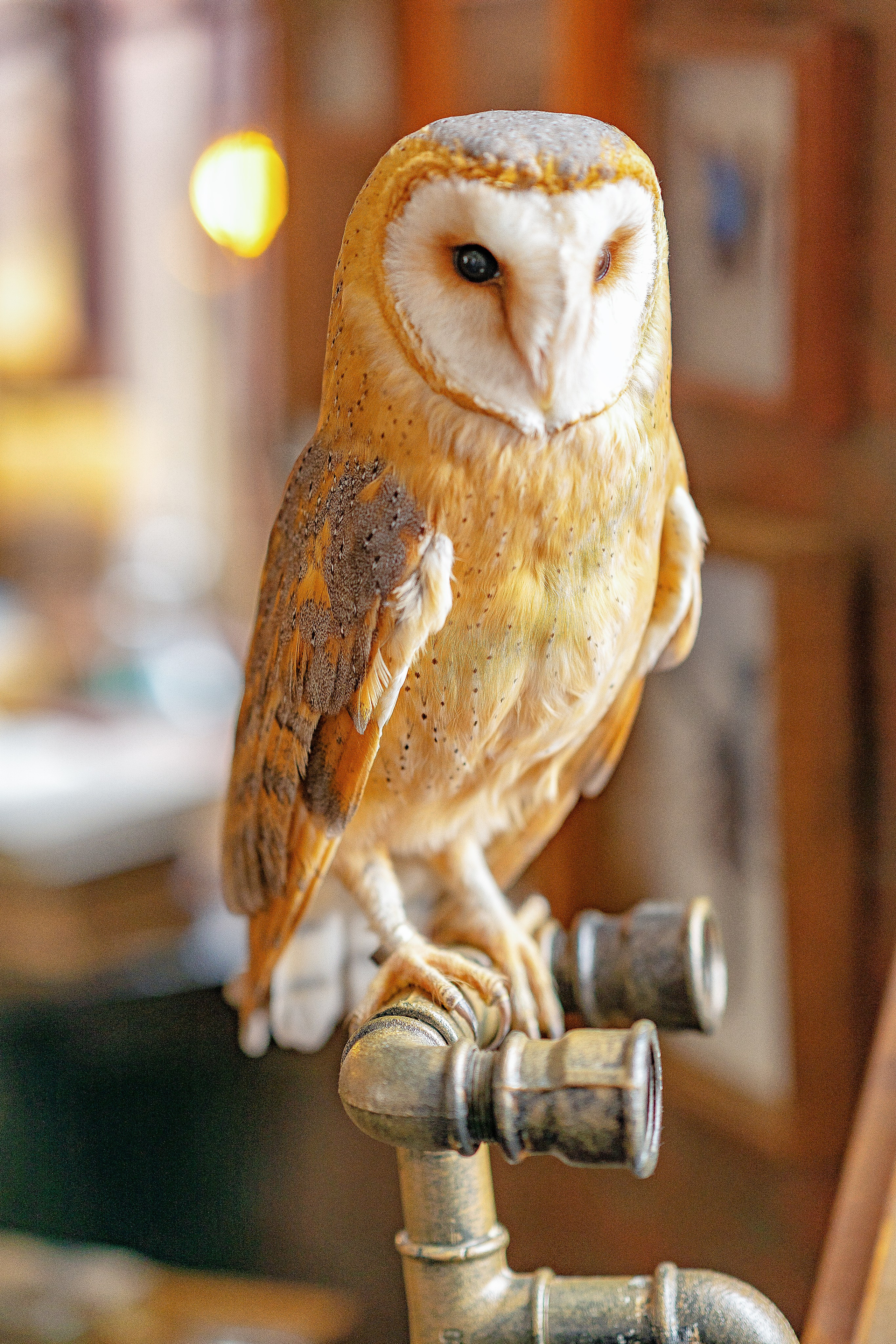 ЭКСПЕРИМЕНТ. Школьный фотограф и фотограф в детском саду