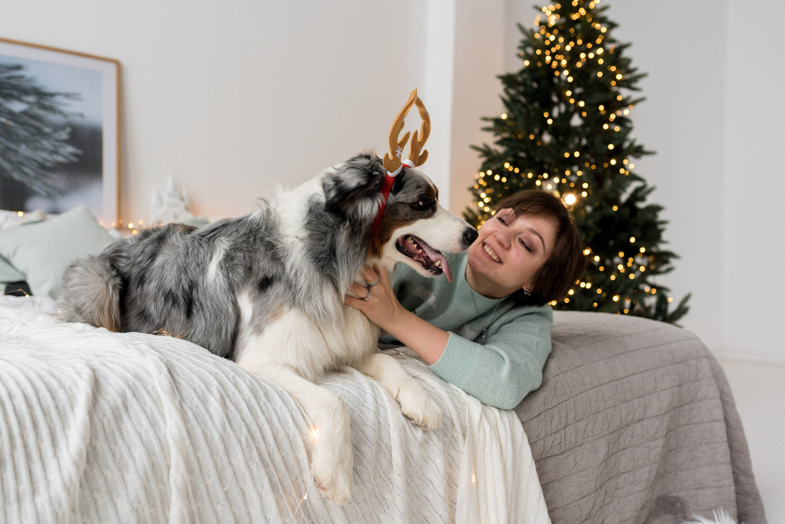 Новогоднее студия. Свадебный фотограф в Москве Анна Полушина
