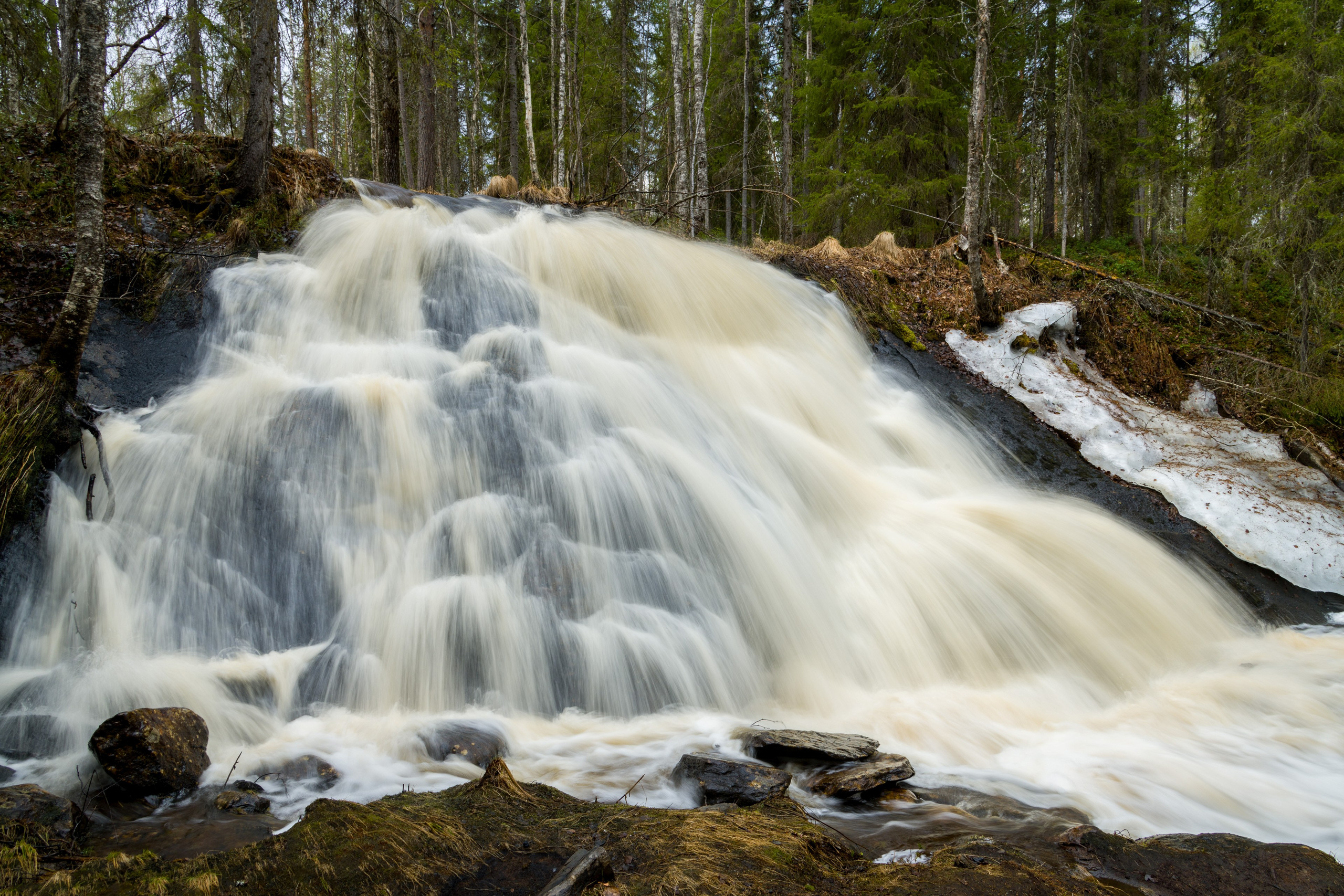 Весна. Северные Ночи
