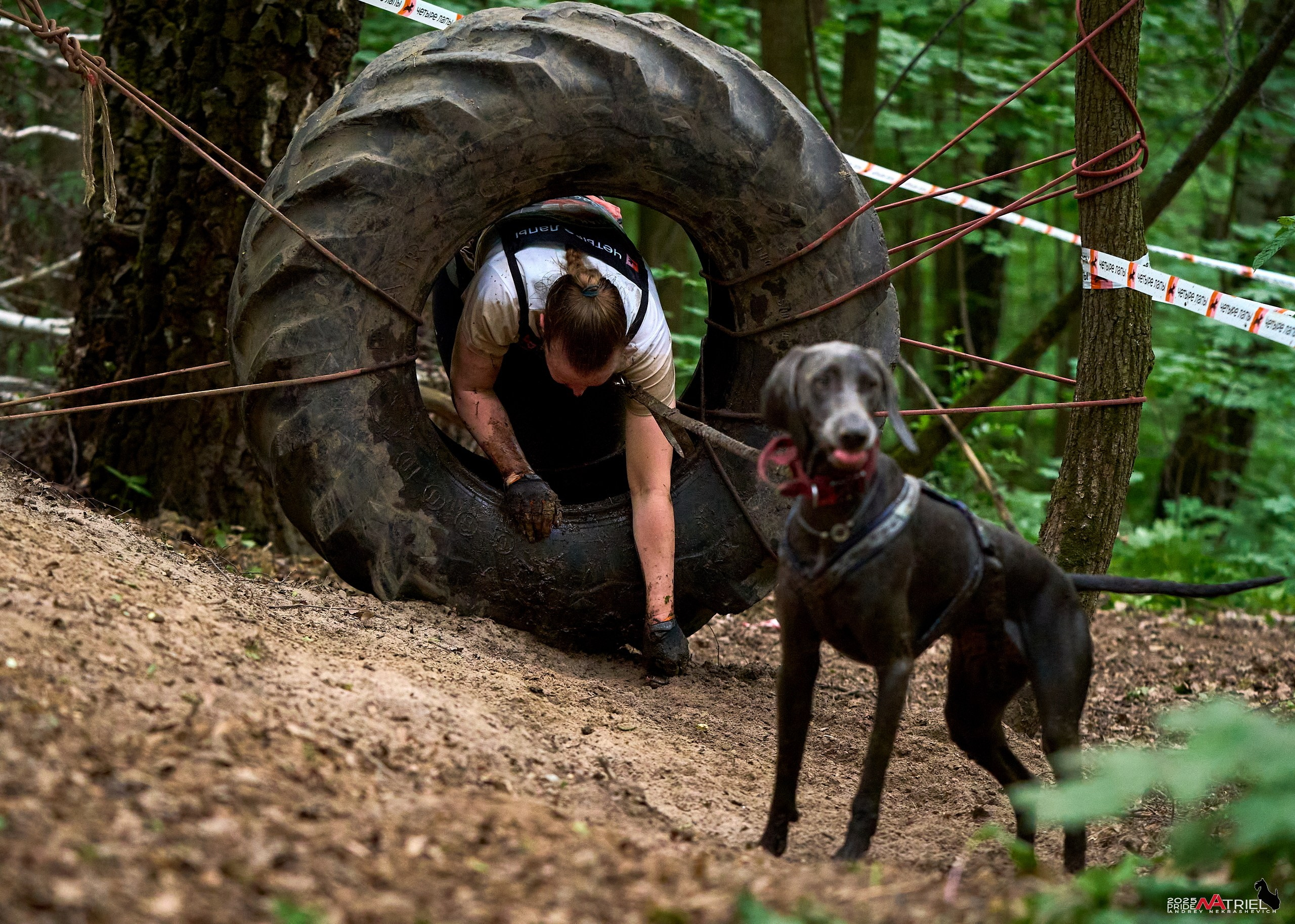 Russian Extreme Dog Trail — 2025