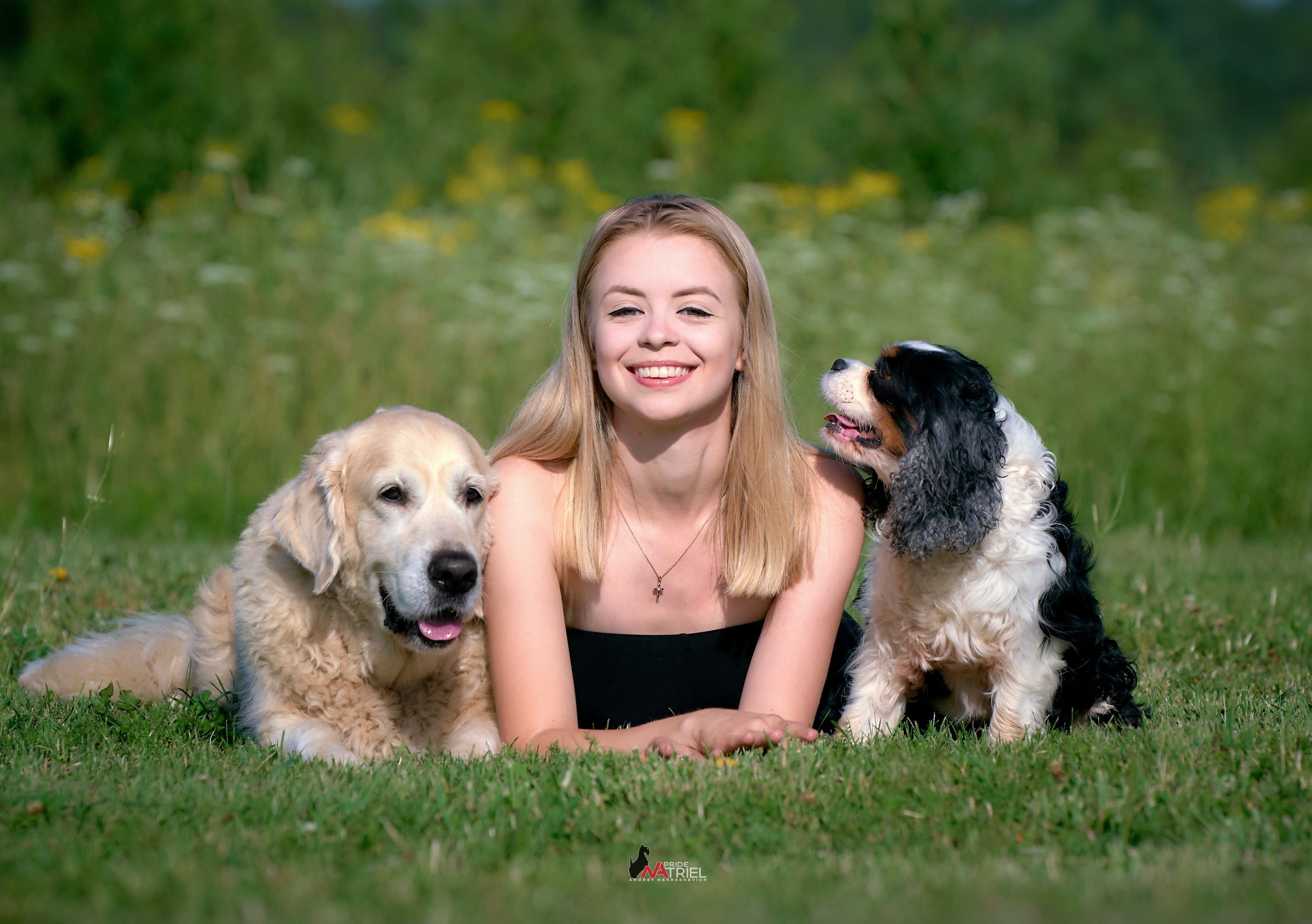 Собаки и Люди — галерея NATRIEL