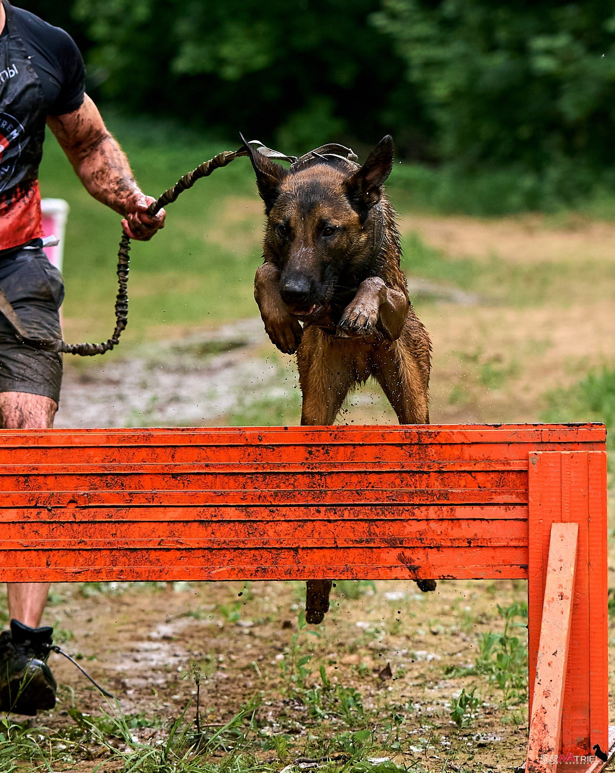 Russian Extreme Dog Trail — 2025