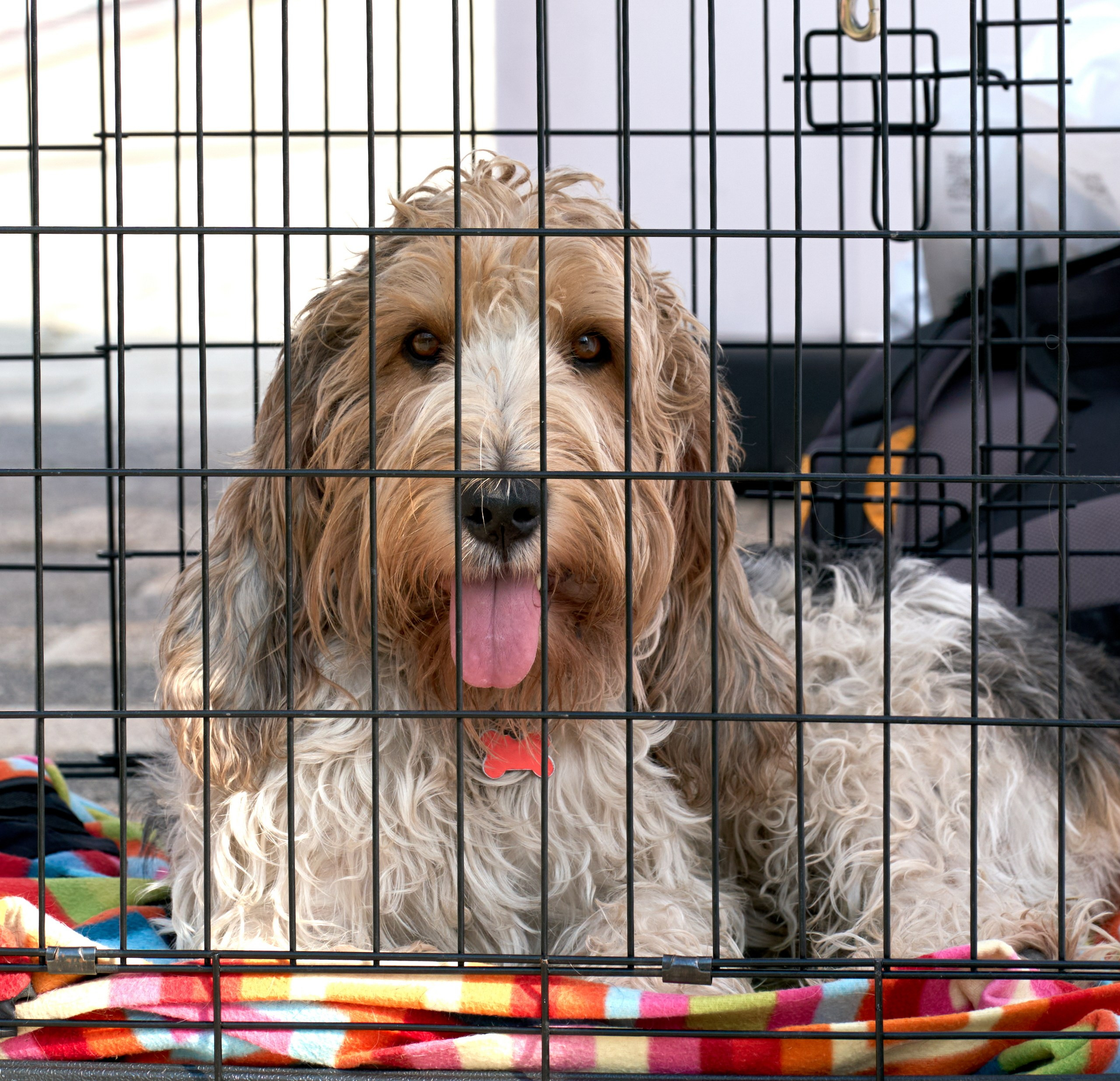 Съемка на выставке Ясенево