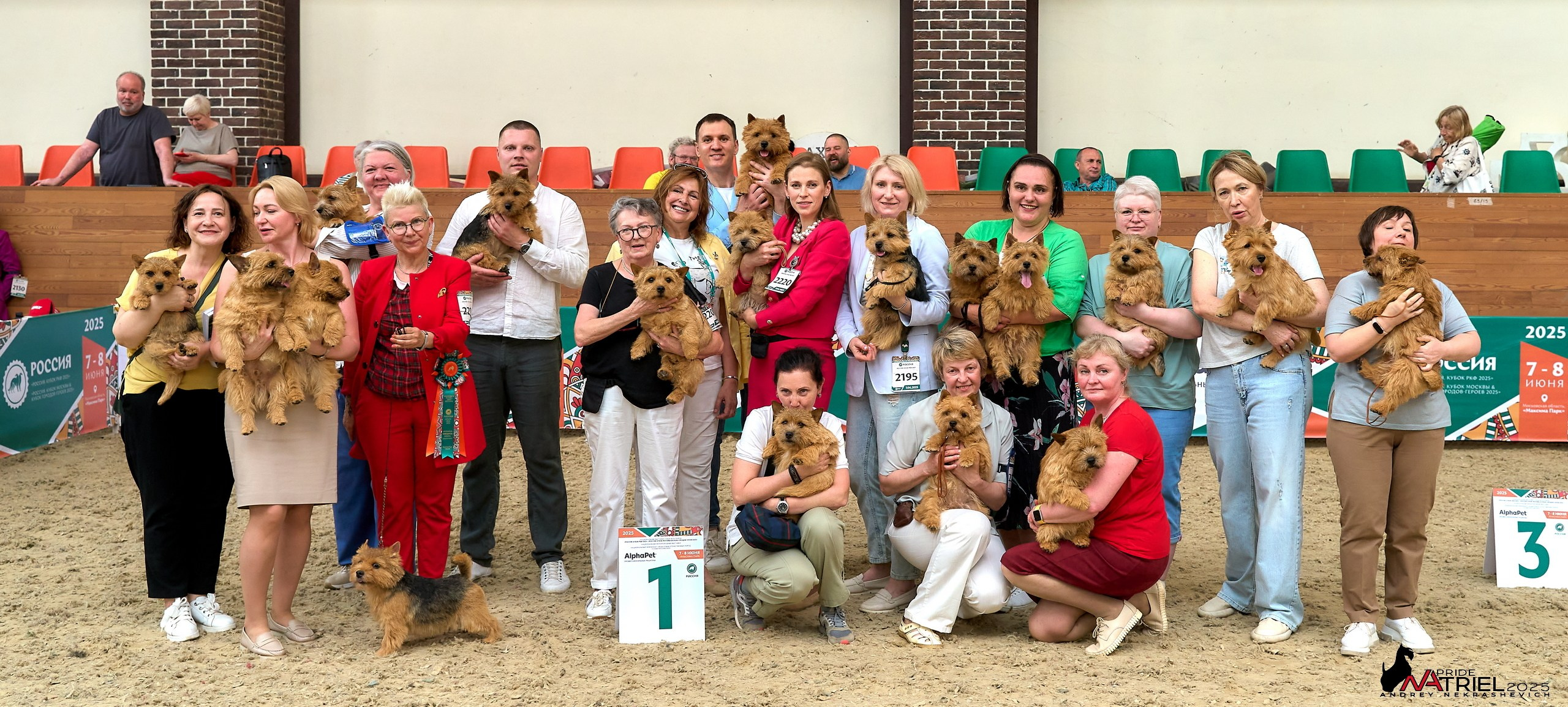 Выставка собак РОССИЯ — 2025