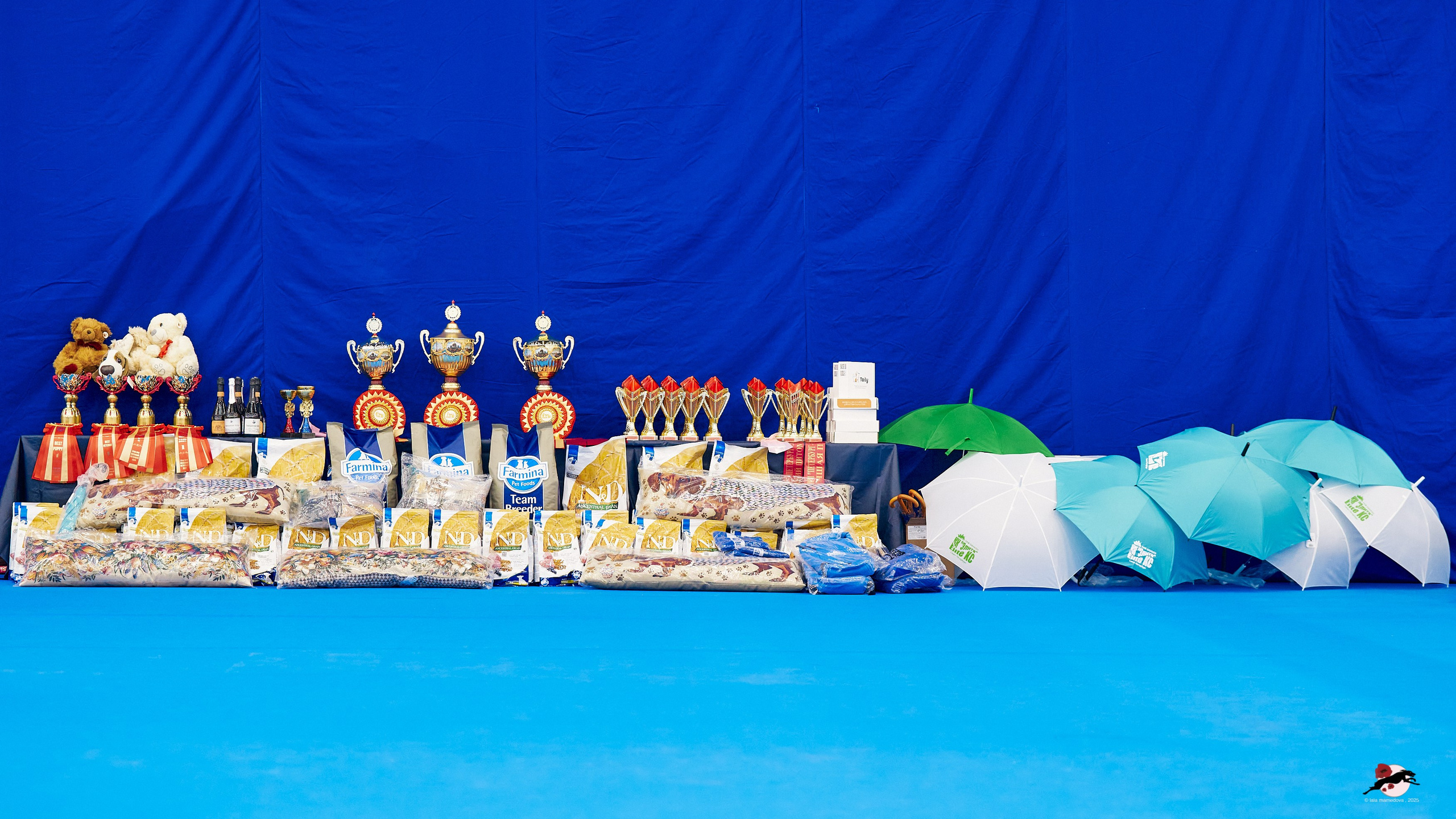 27.04.2025 | "Петербург-Элита 2025" & «КУБОК «ЭЛИТЫ»-2025»