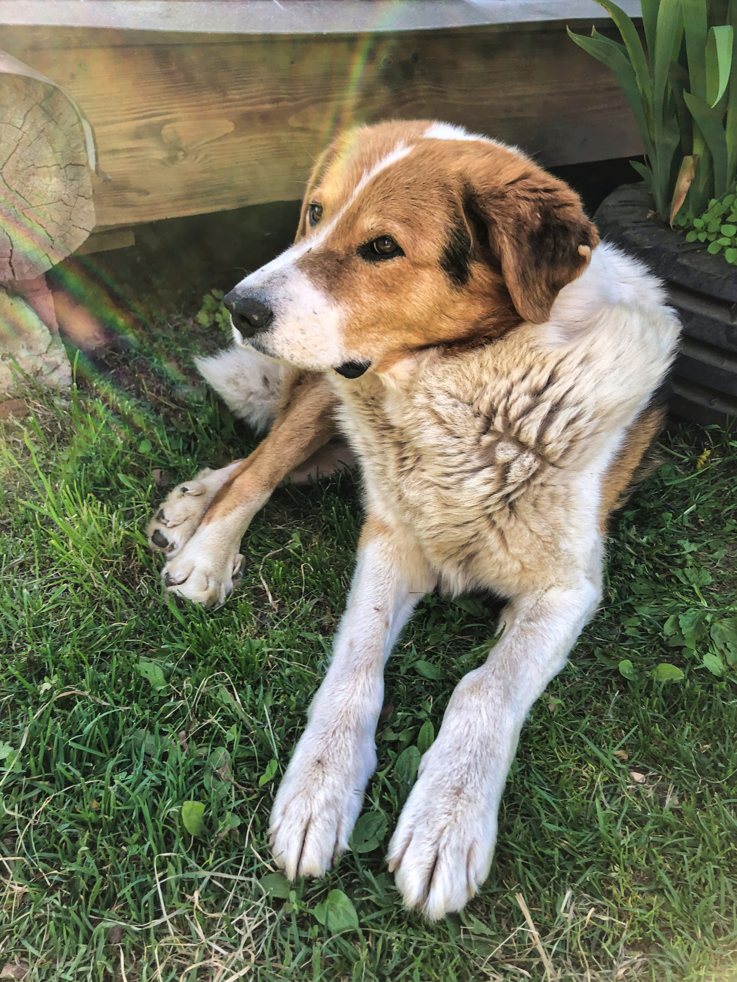 На берегу Угры. Конец мая 2024 года. Фотограф Никифоров-Гордеев Сергей. Москва и МО