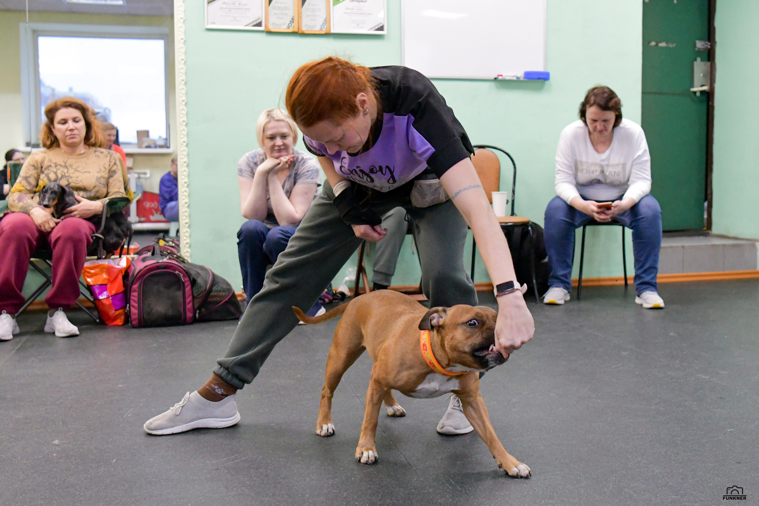 Кинологический клуб «Бодрый хвост». Свой взгляд через объектив