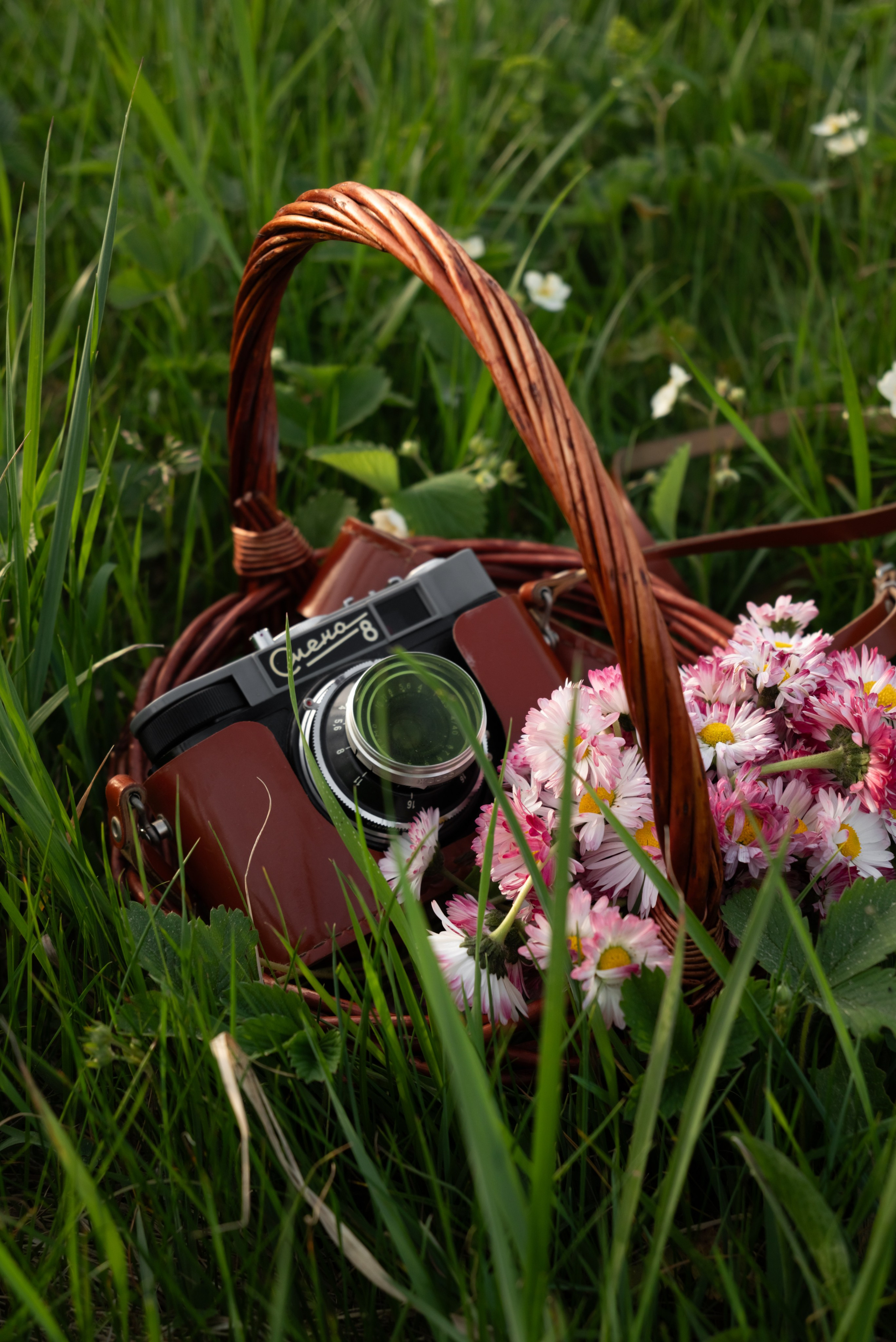 Бабушка и внучка. Профессиональный фотограф в Твери Иванова Юлия