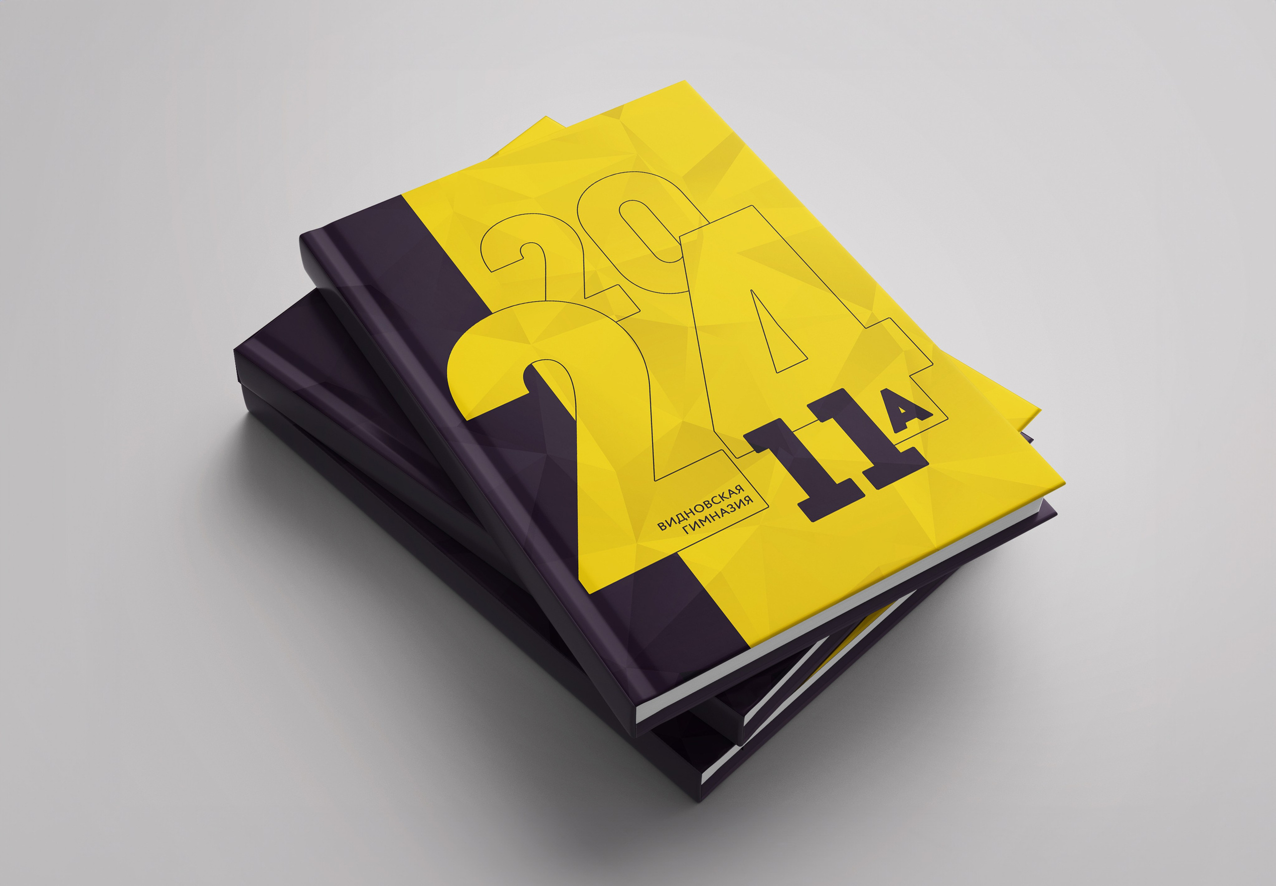 2024 — Видновская гимназия — 11А. ТВОЯ ШКОЛЬНАЯ ИСТОРИЯ — фотограф Юлия Федосеева