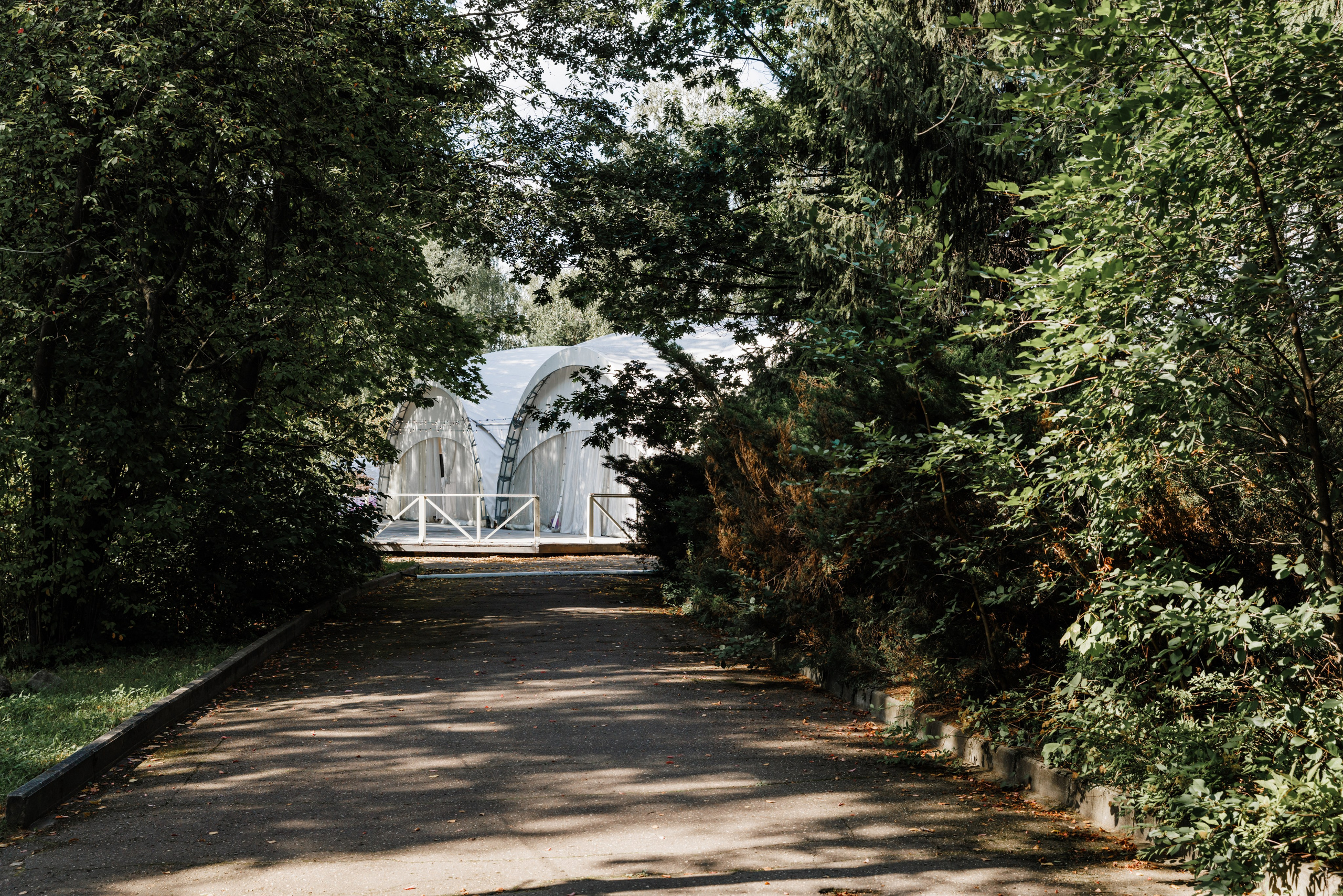 Сергей и Анастасия. Фотограф Москва Шептаев Артём