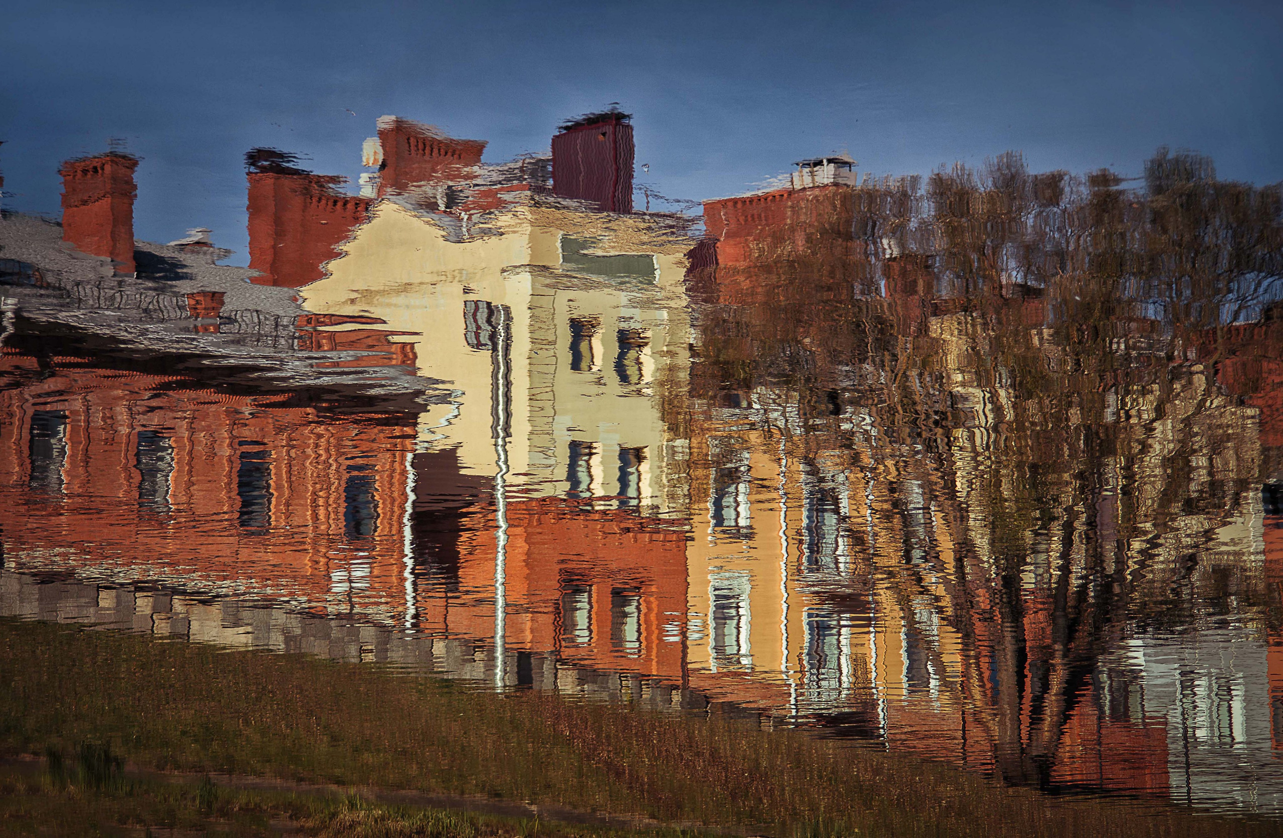 Псков. Семейный и детский фотограф в Москве Ольга Кривенцова