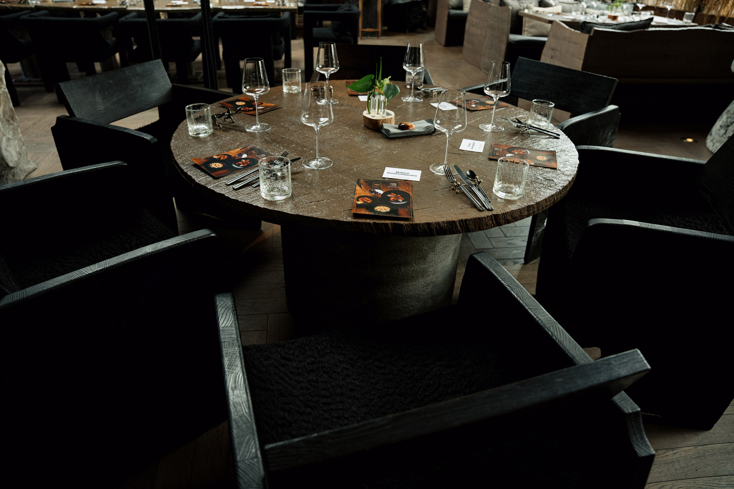 MAYR VEDA. Yankovski_001